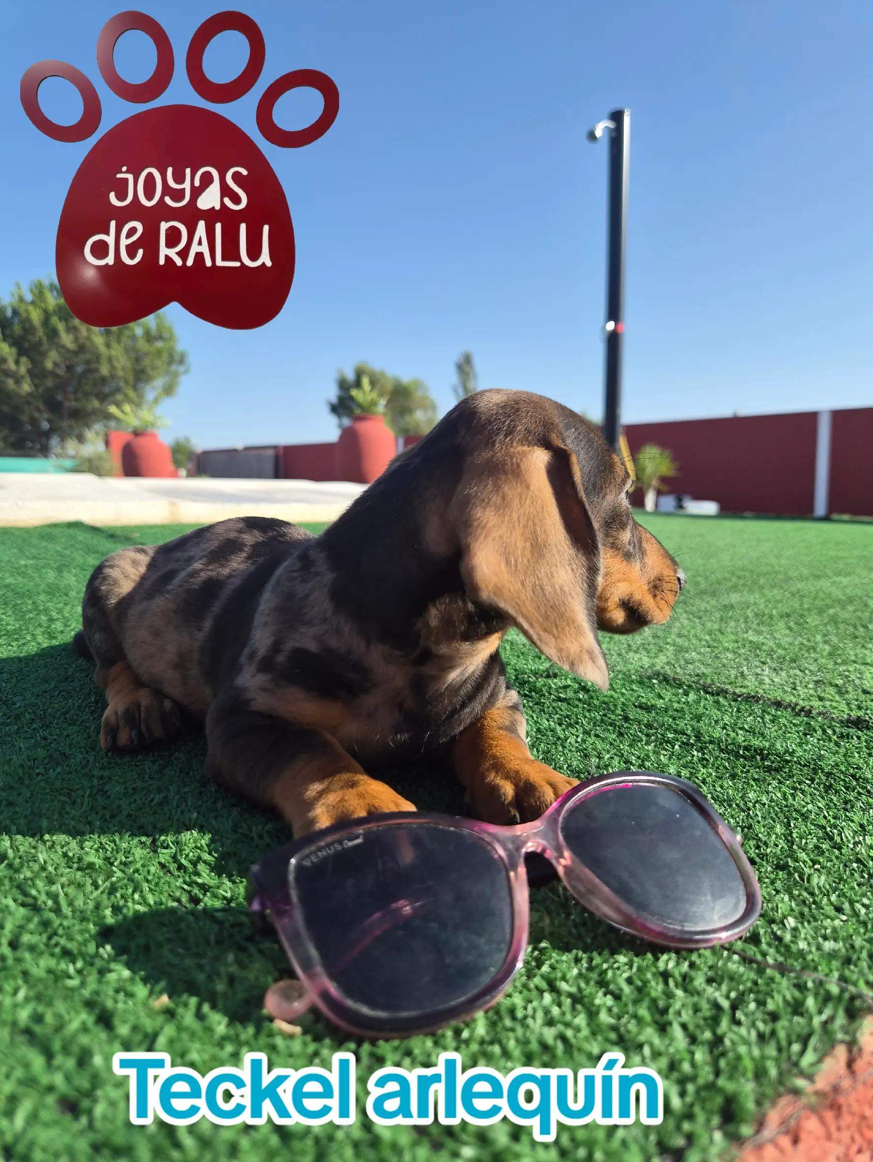 @joyas de ralu