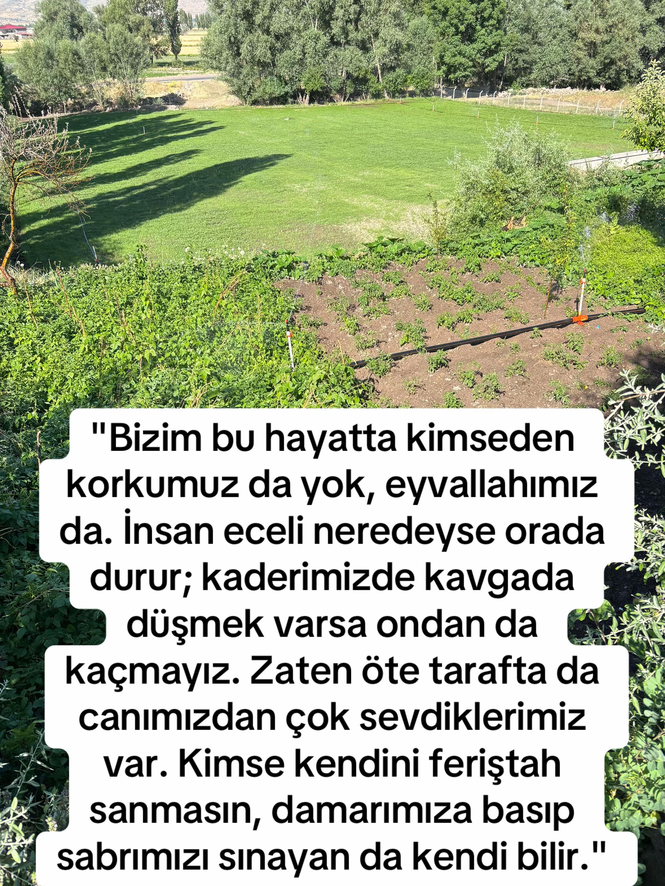 @Hüseyin Bilik