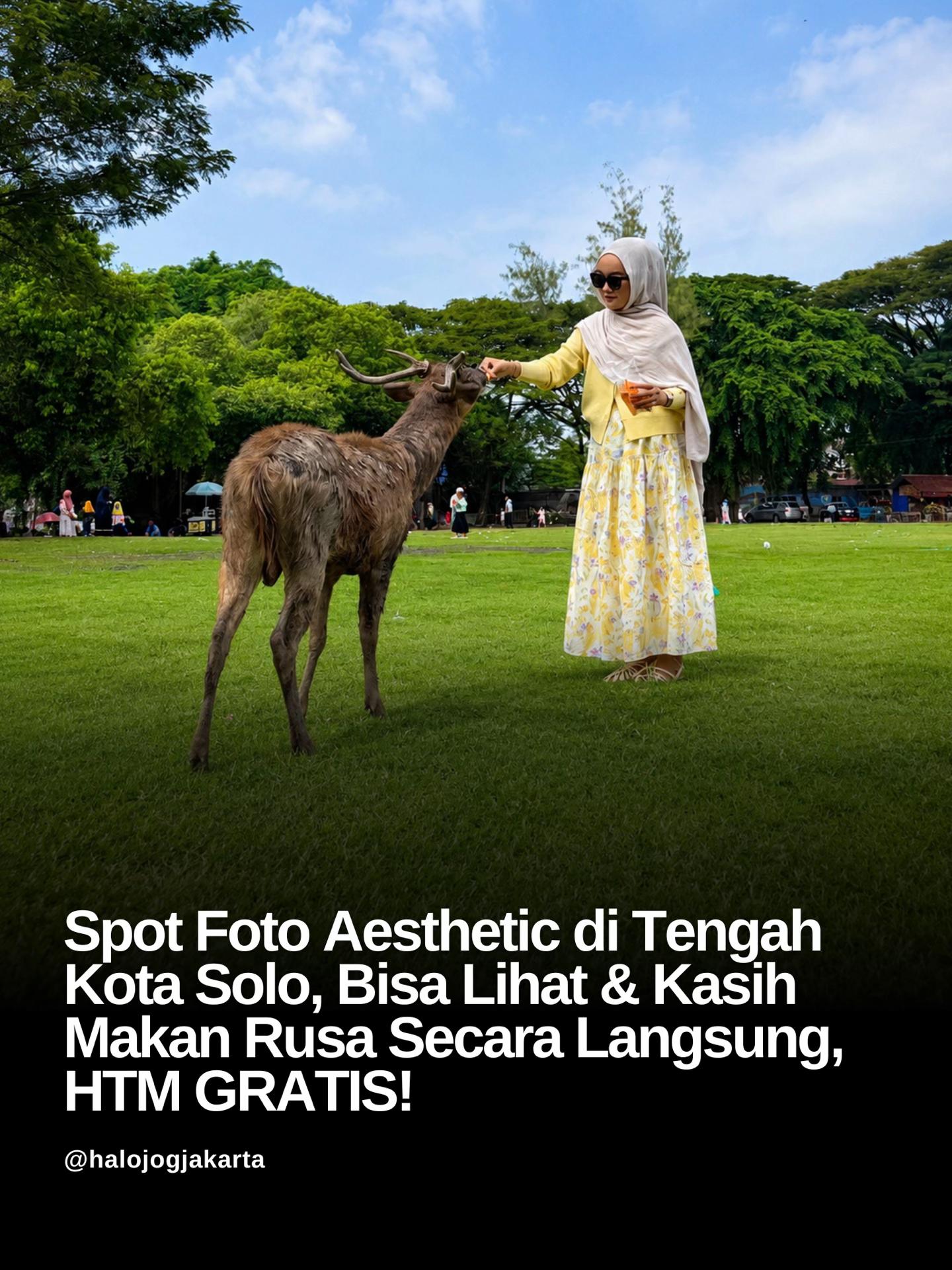@JOGJA | YOGYAKARTA