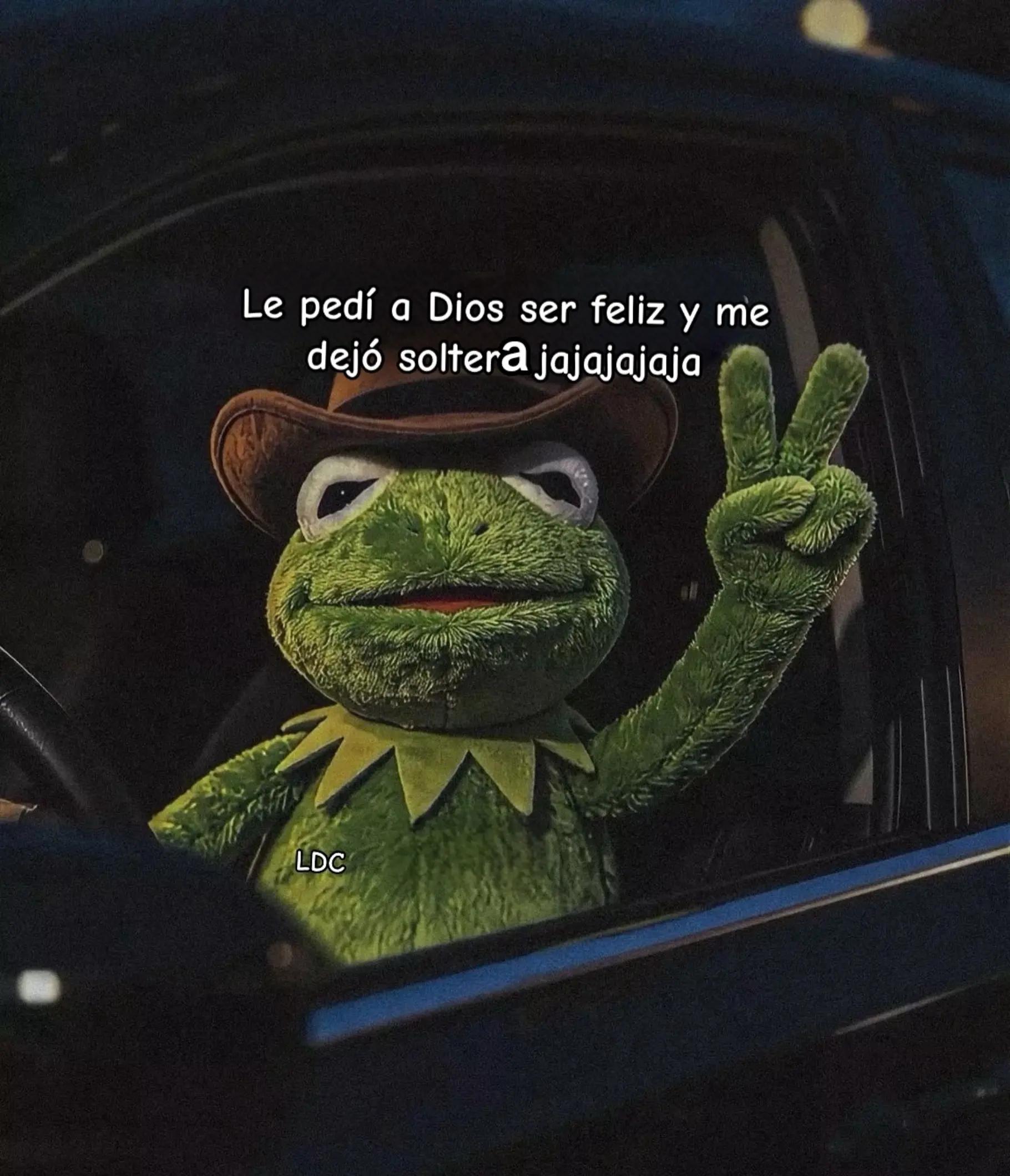 @rosi