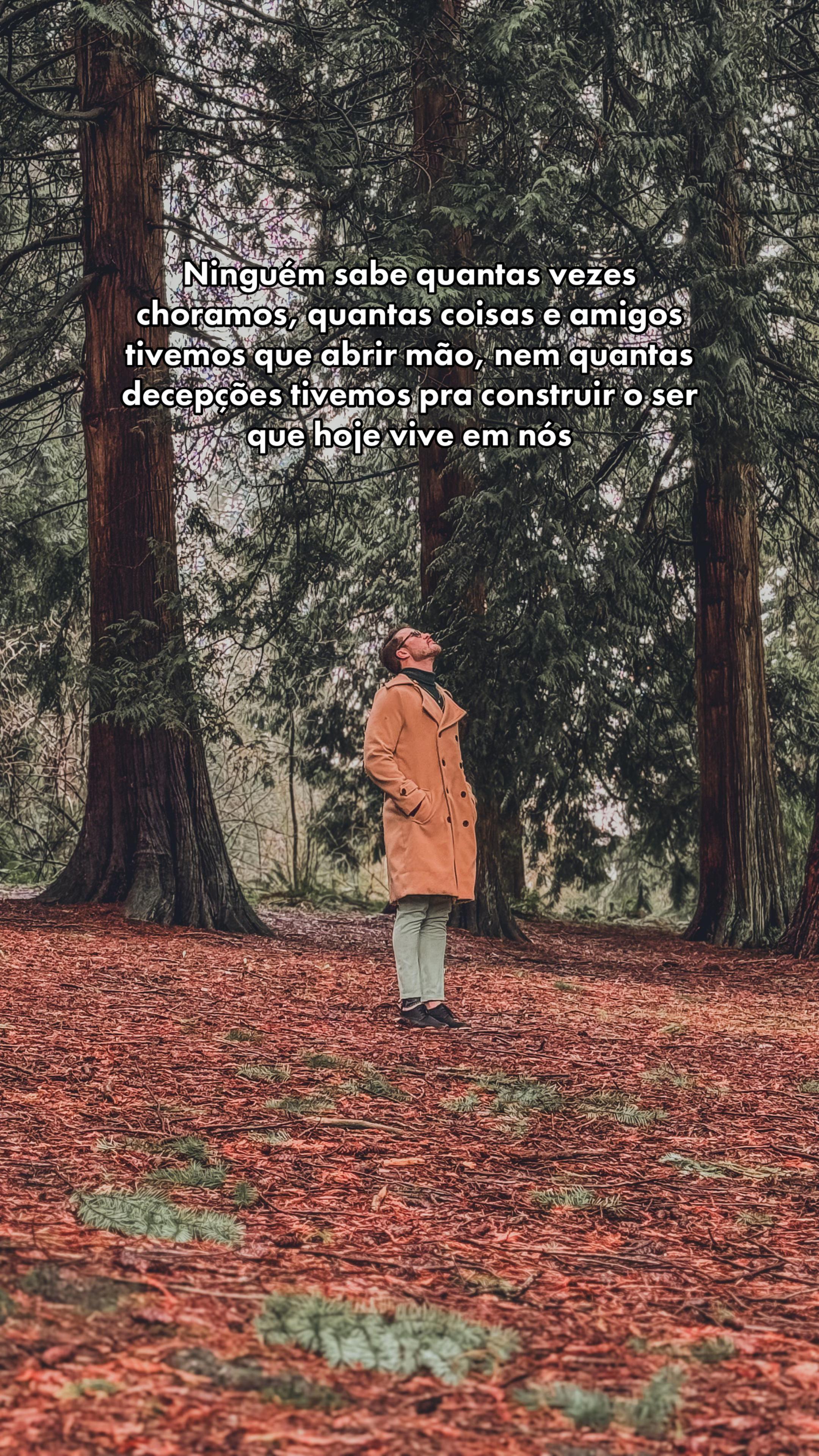 @Phylipe Augusto