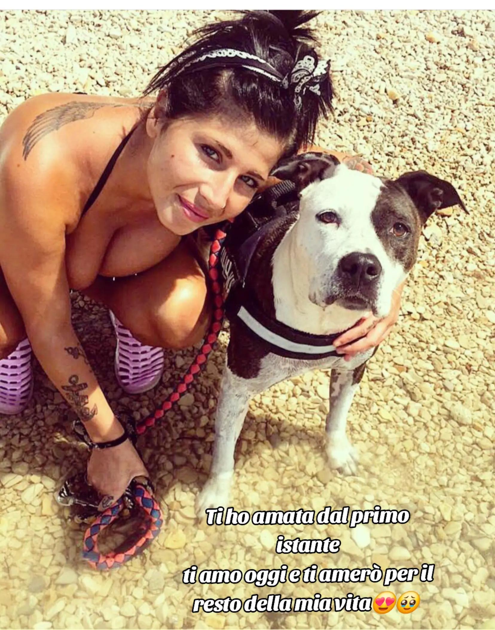 @ylenanetta