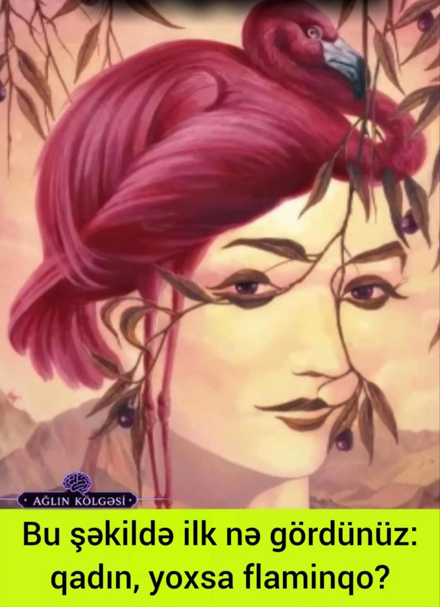 @Ağlın K&ouml;lgəsi