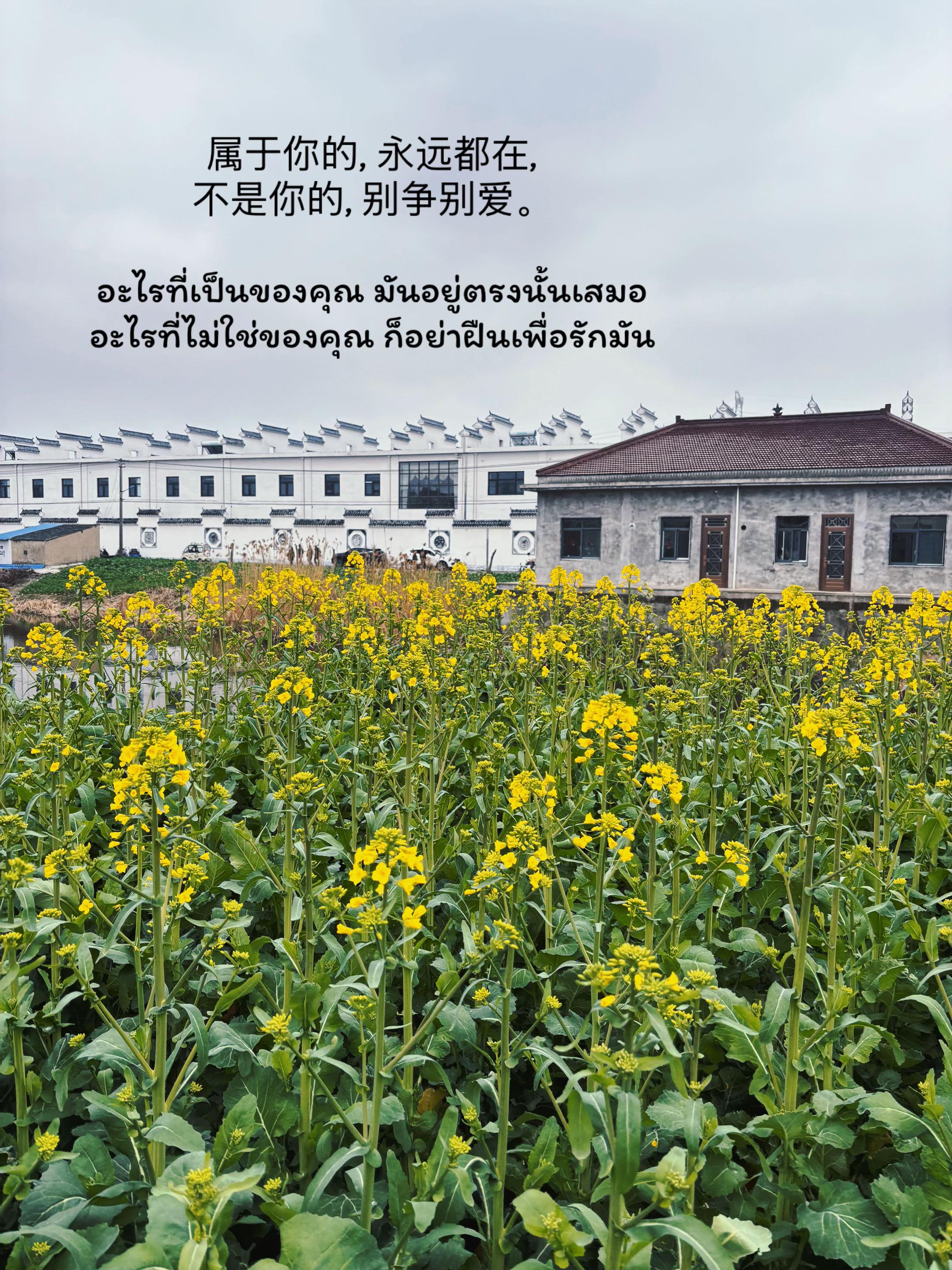 @จีนซับไทย 🇨🇳🇹🇭 ✨