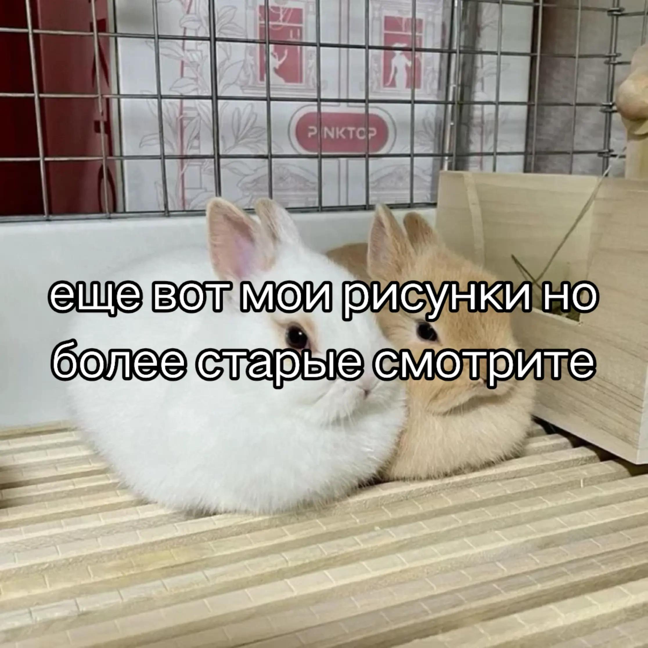 @KANON