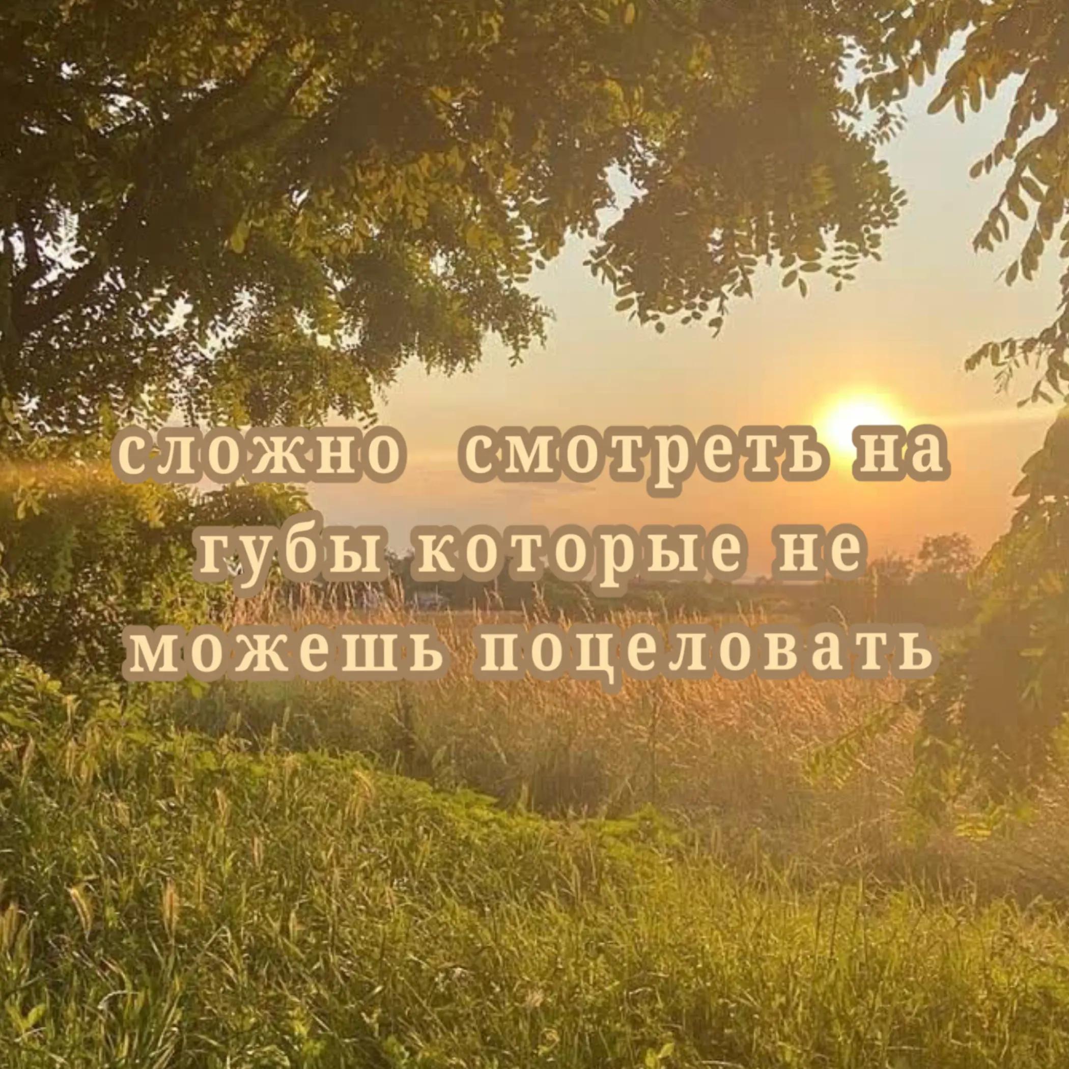 @☆Енотик федя☆