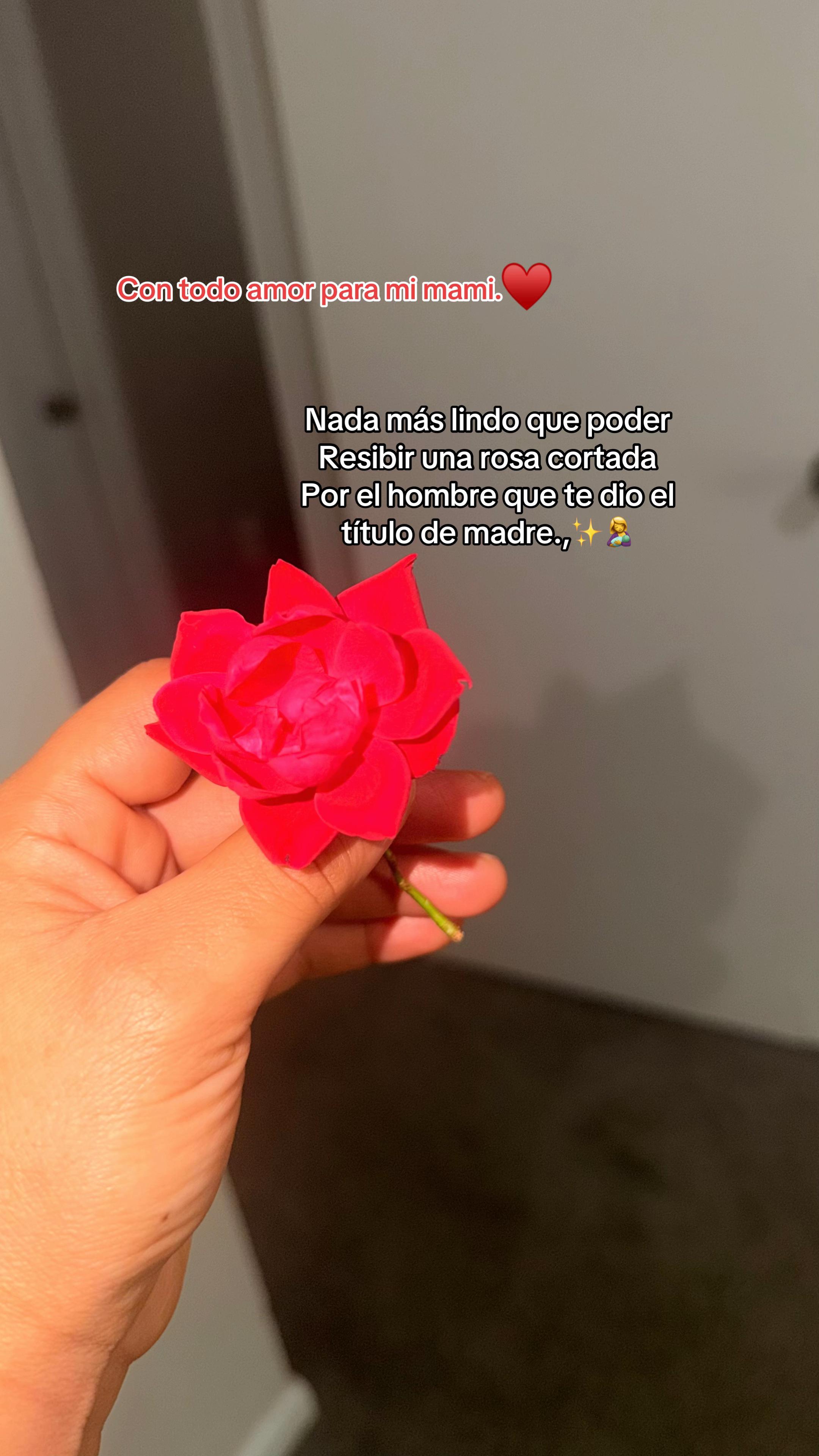@Li karen.🌷