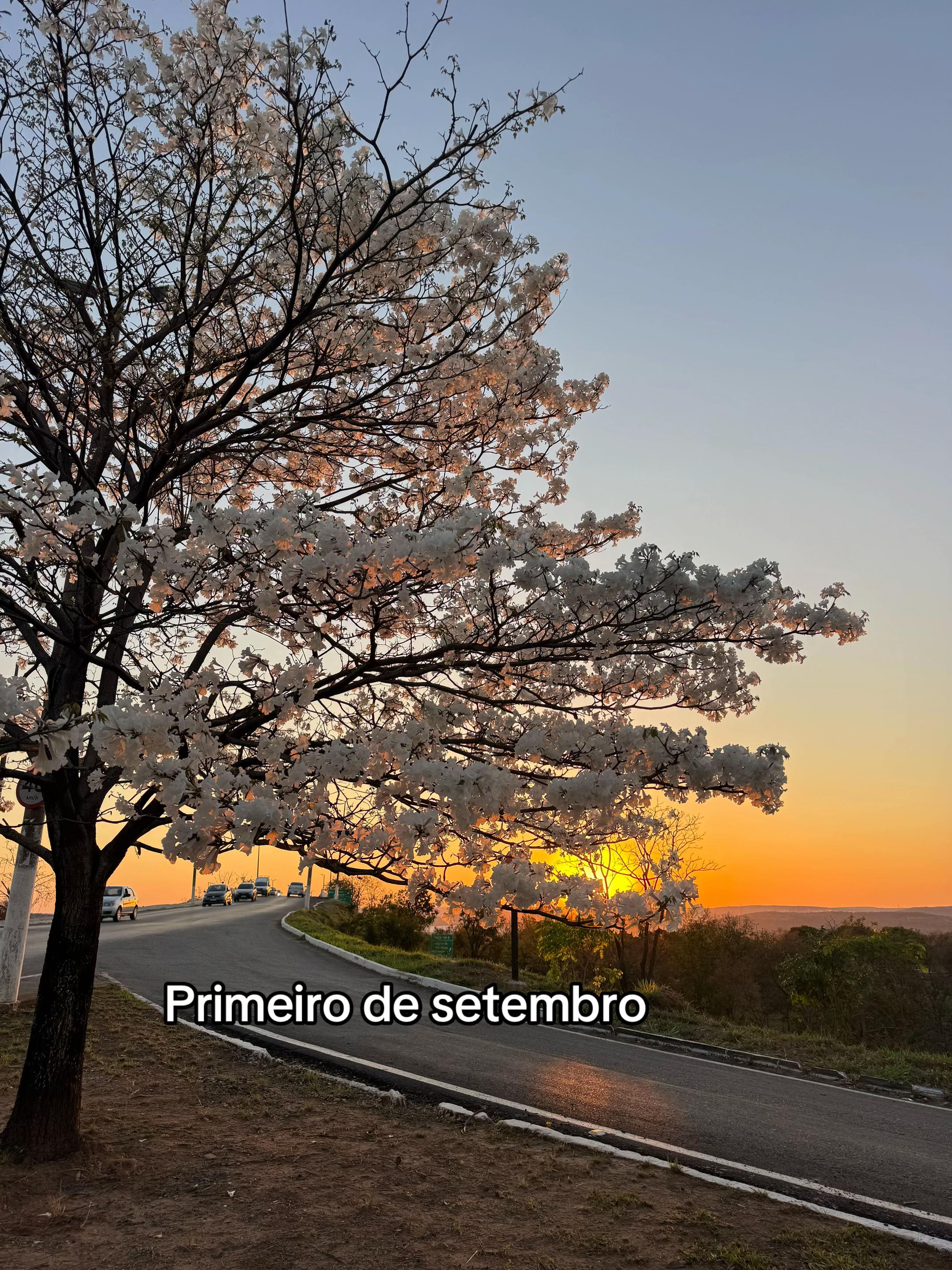 @Gaby🇻🇦
