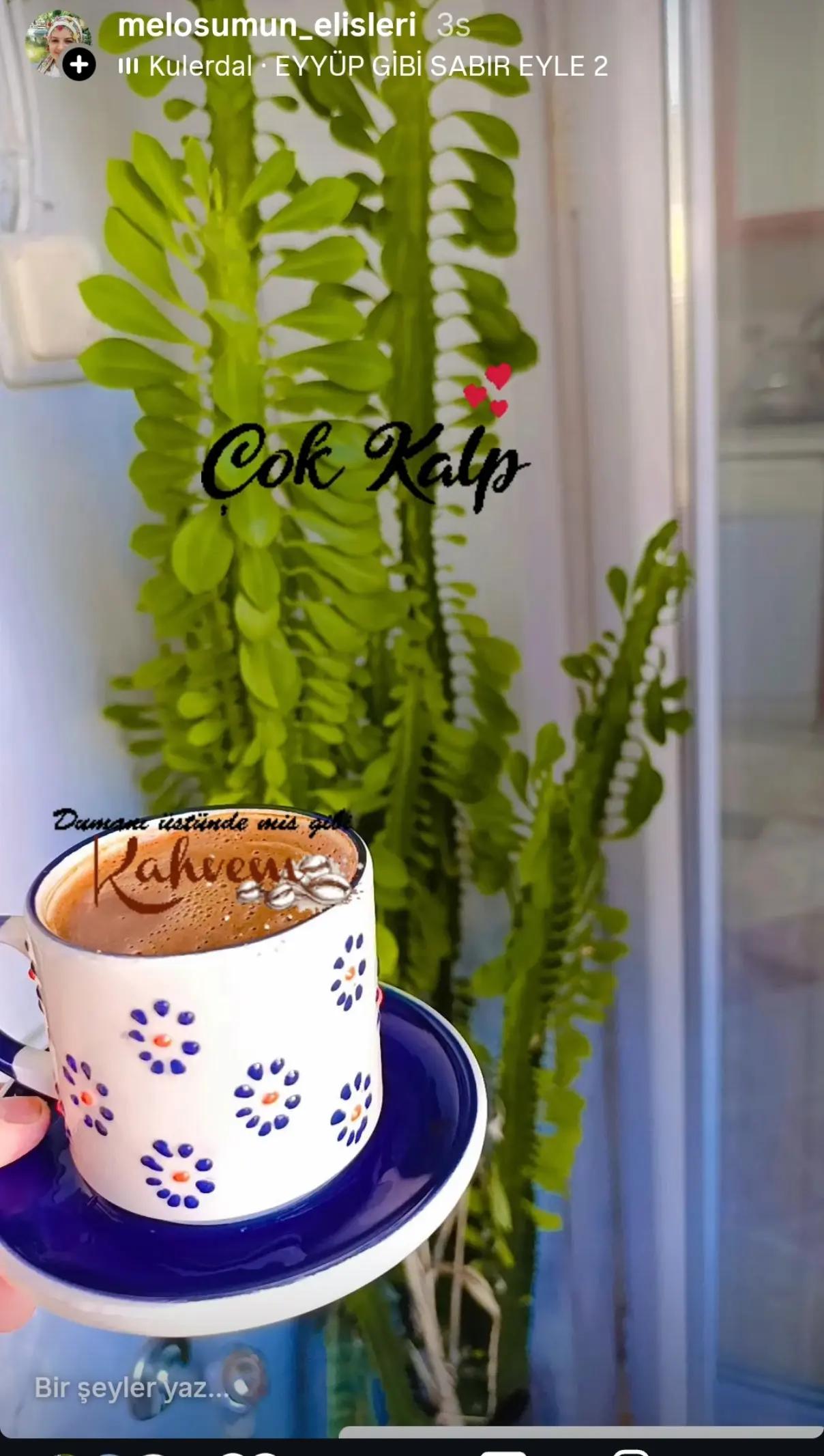 @köylü kizi🌹melosunelisleri