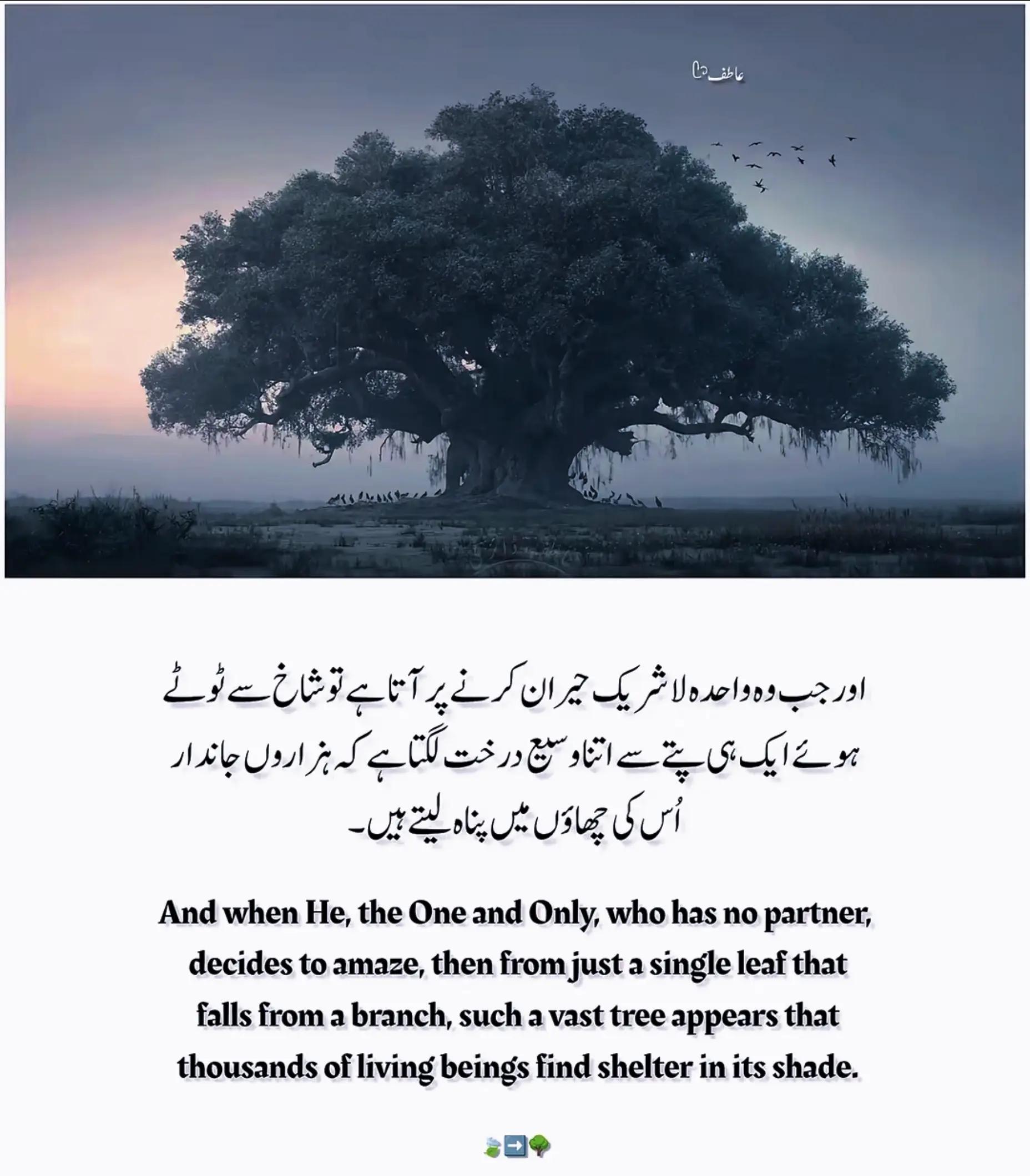 @Arsalan Ahmed (AA)
