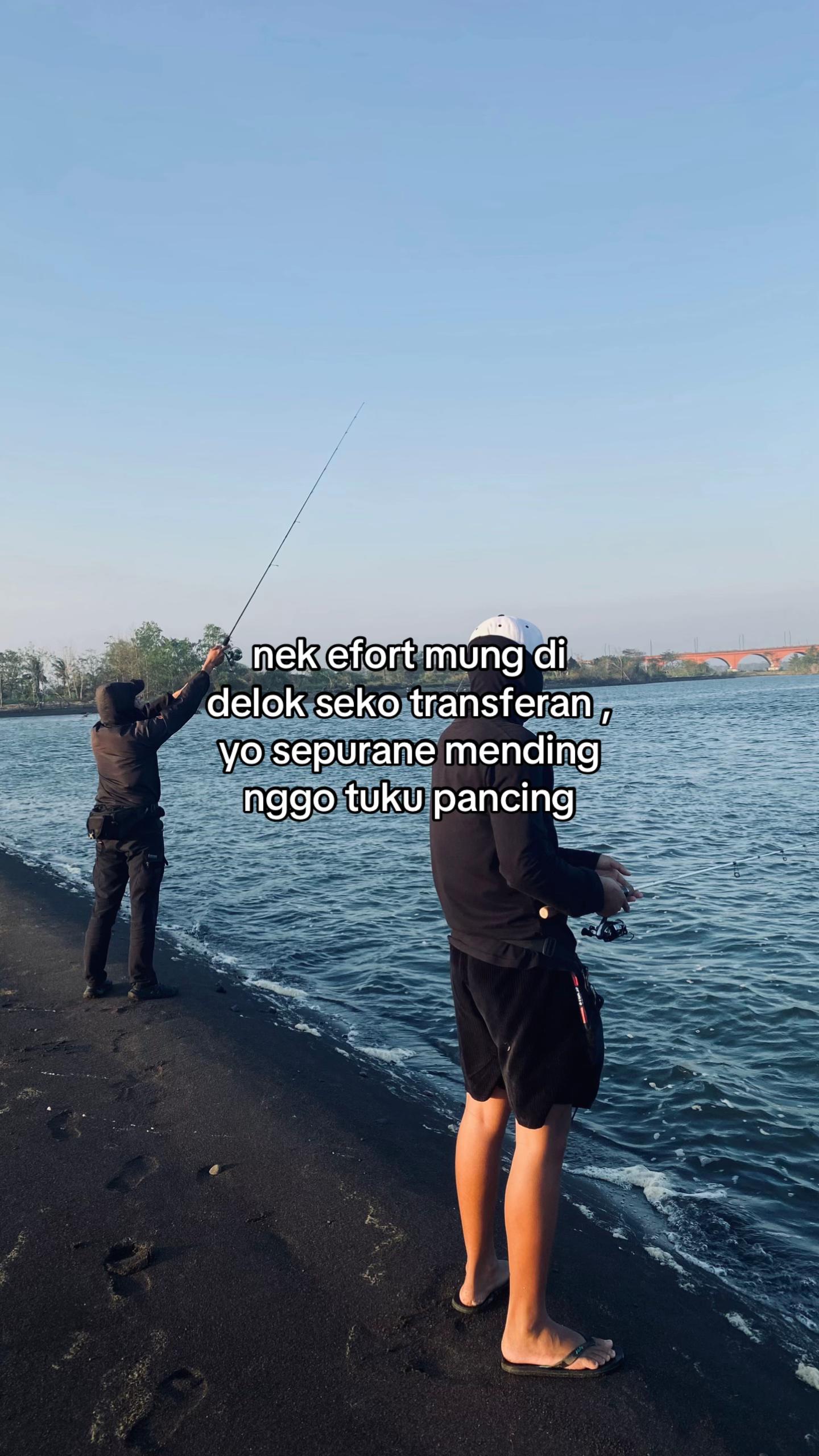 @alip