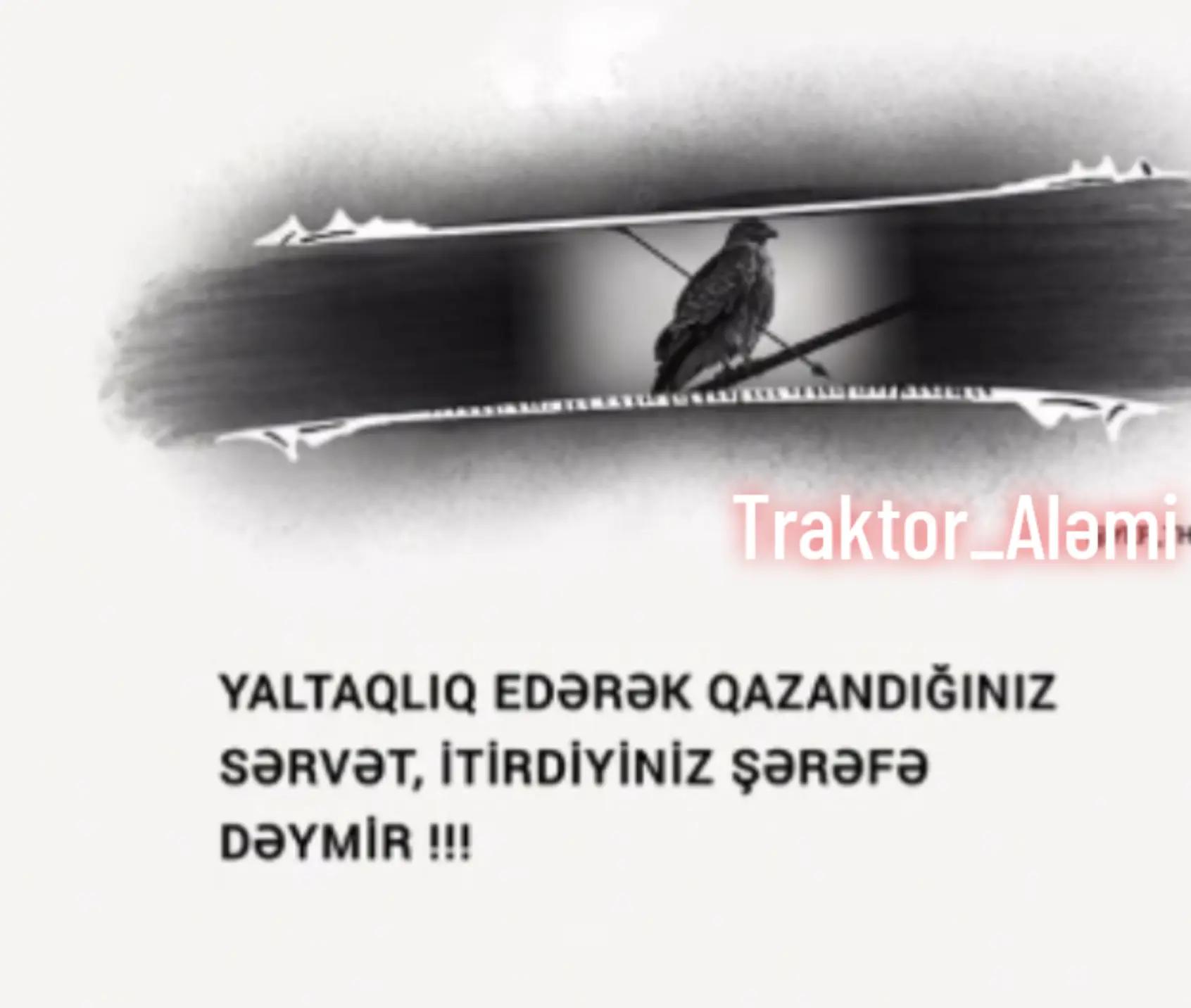 @Traktor_Aləmi
