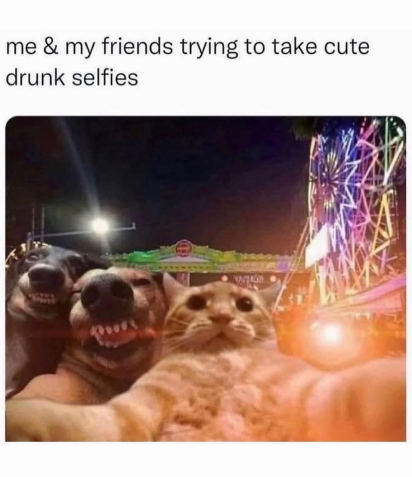 @🐽