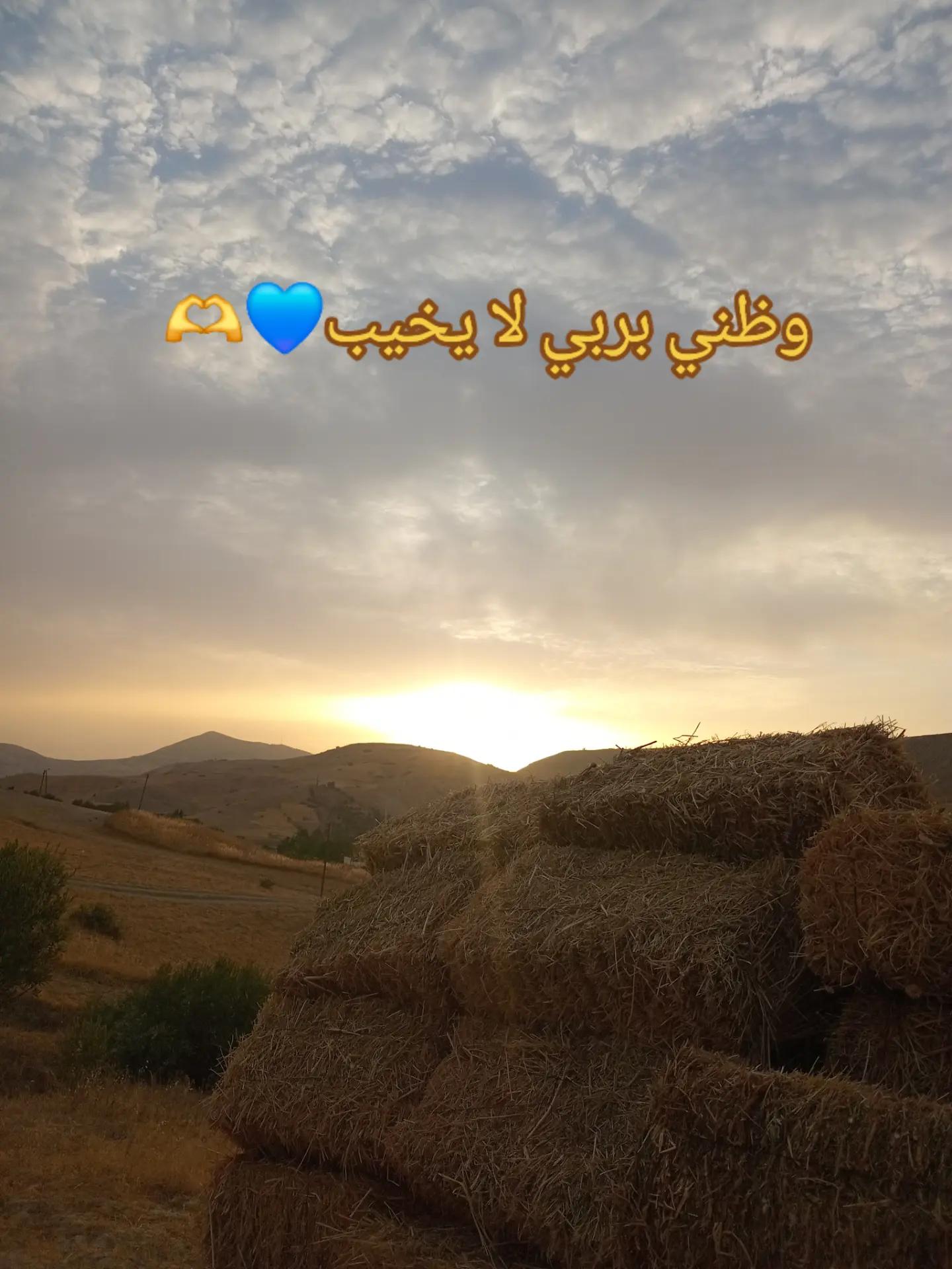 @Aziza@ام حمزة💌