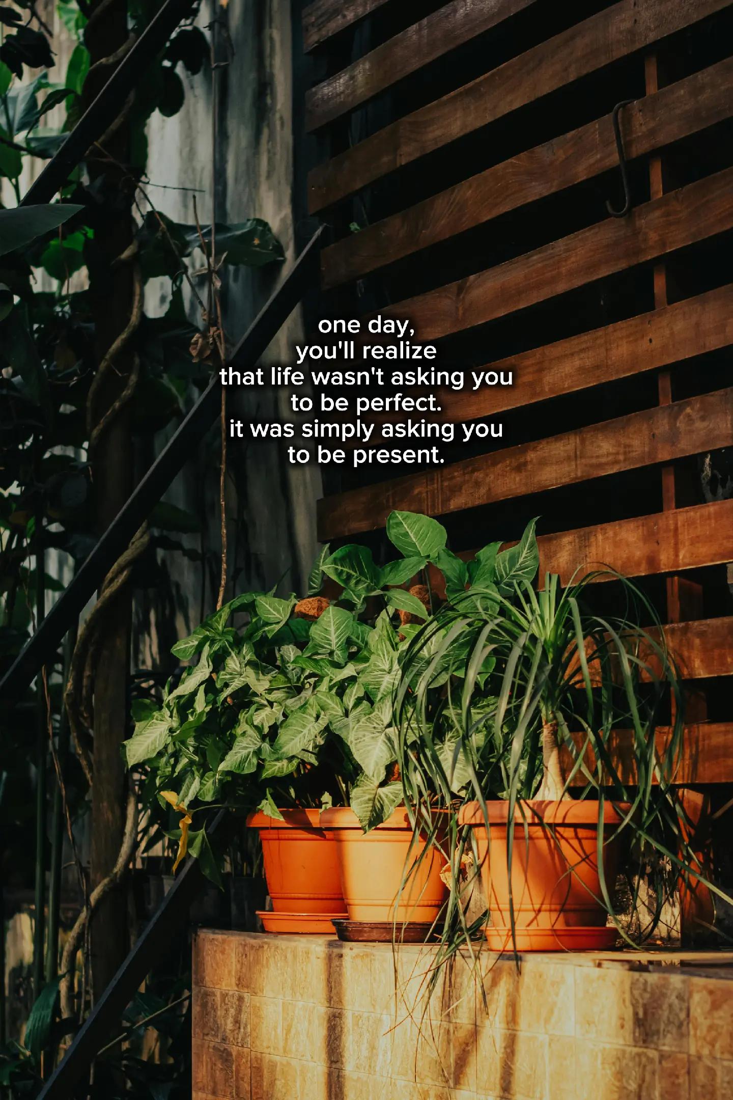@HEALING QUOTES