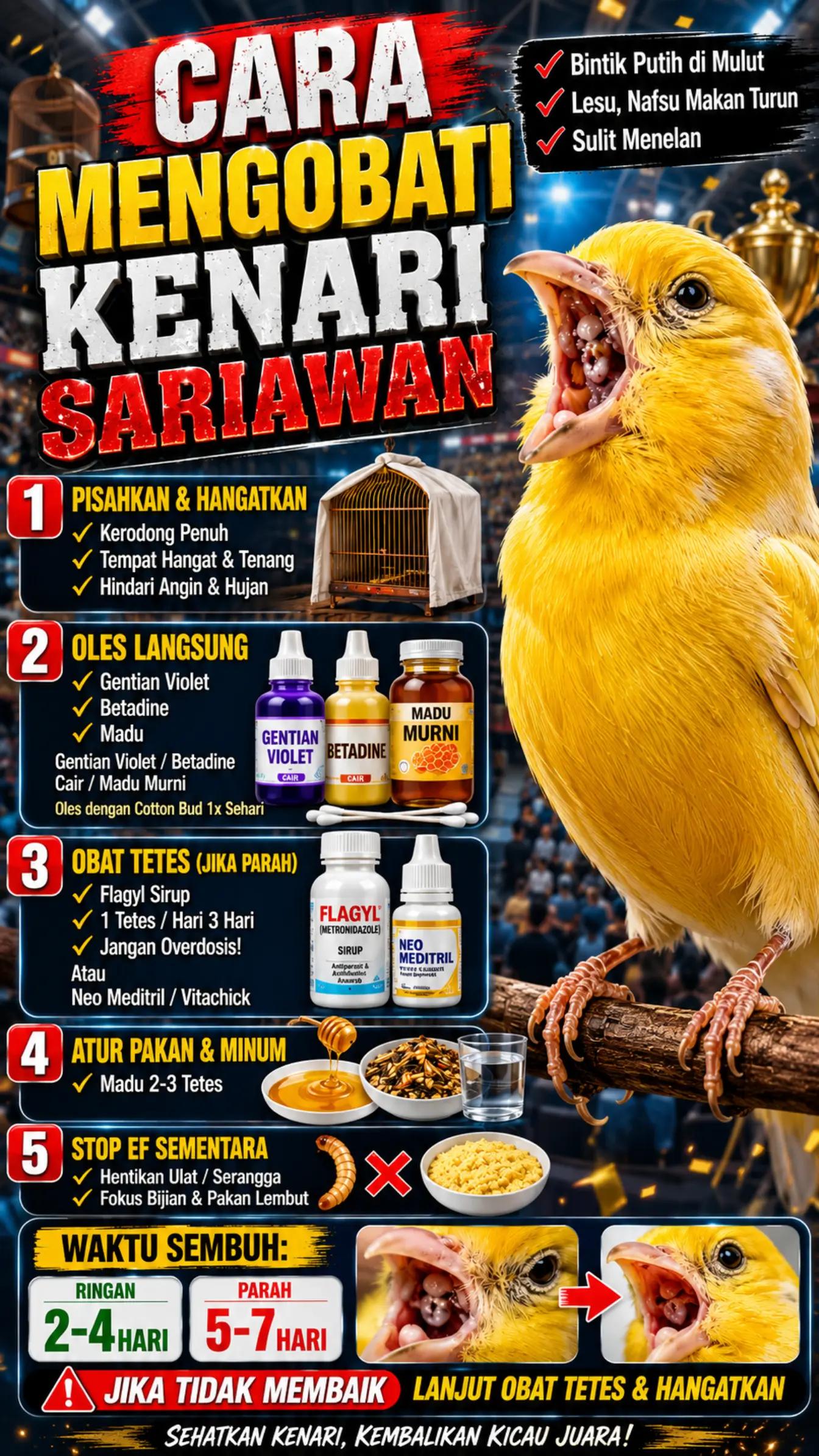 @fbkicaumania