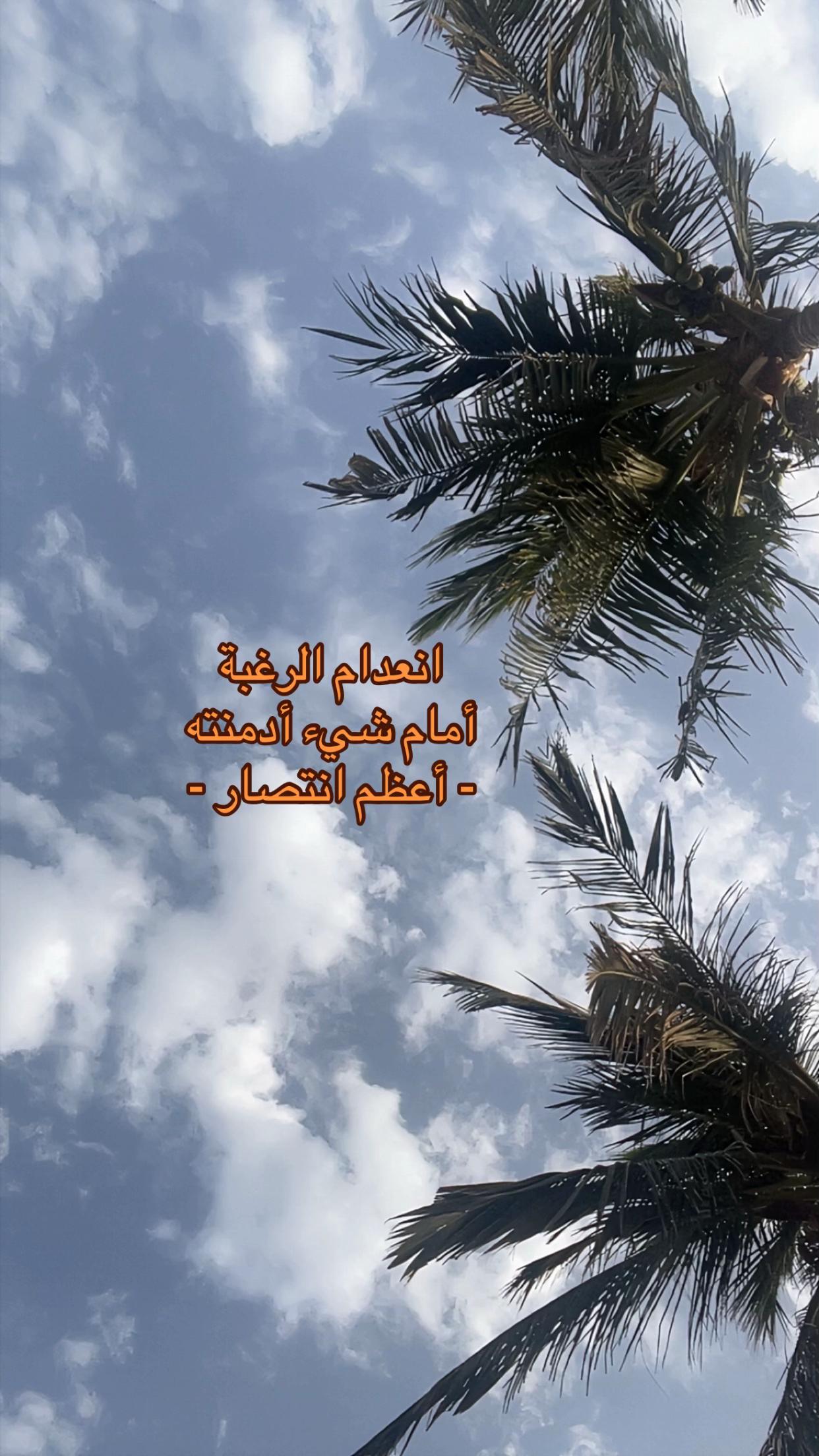 @alma..xs