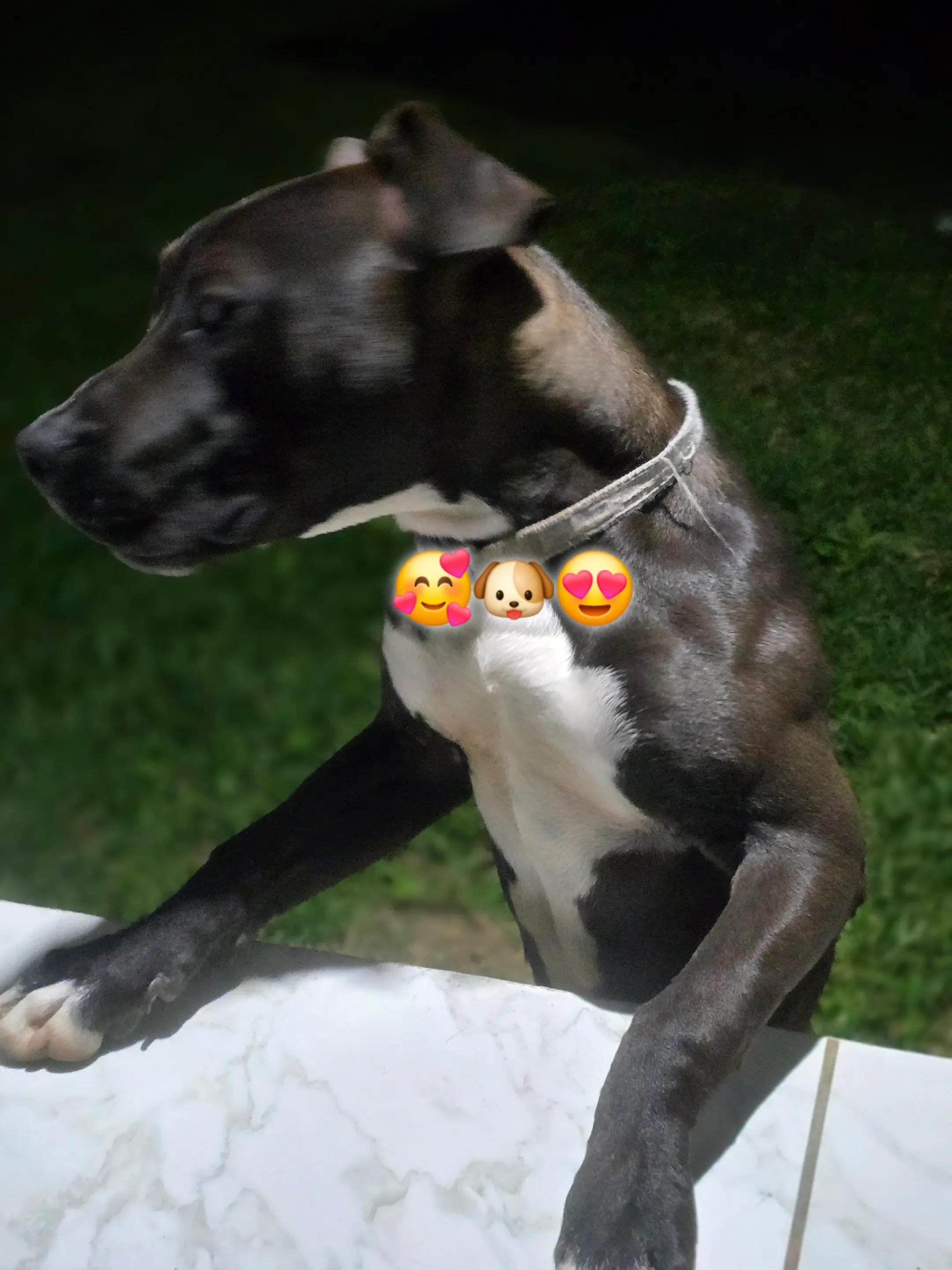 @𝑯𝒆𝒏𝒓𝒚 𝑪𝒂𝒐