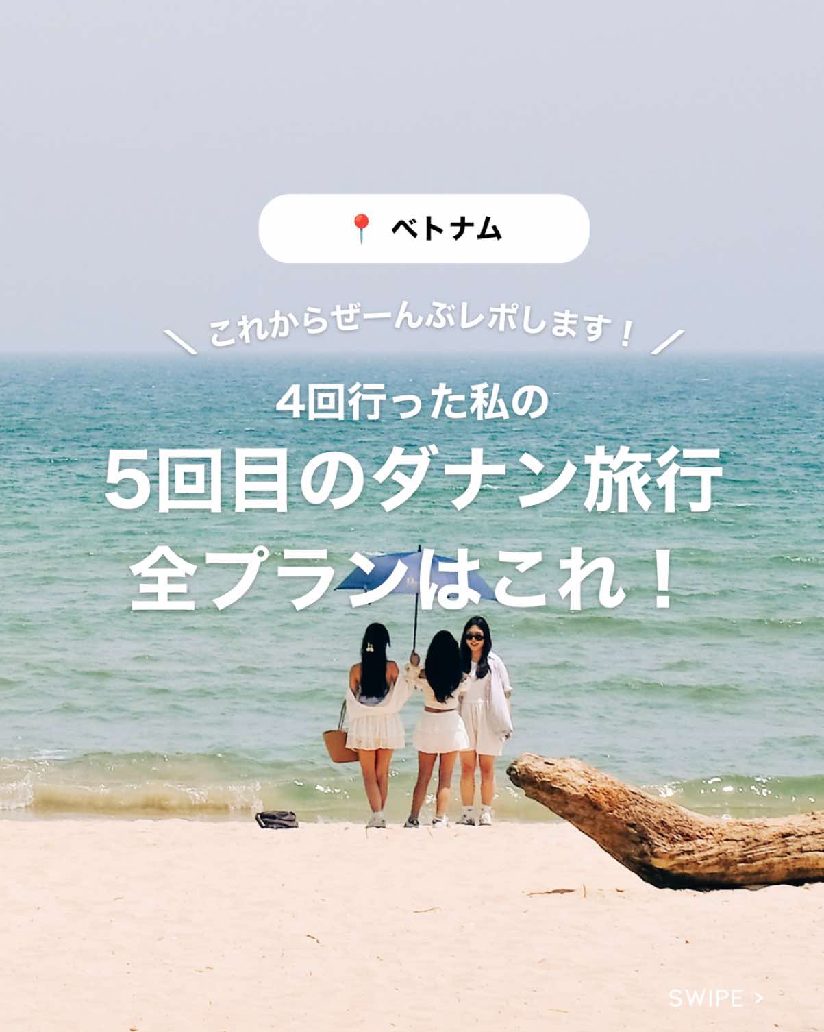 @肩幅ゴリラ🦍✈️