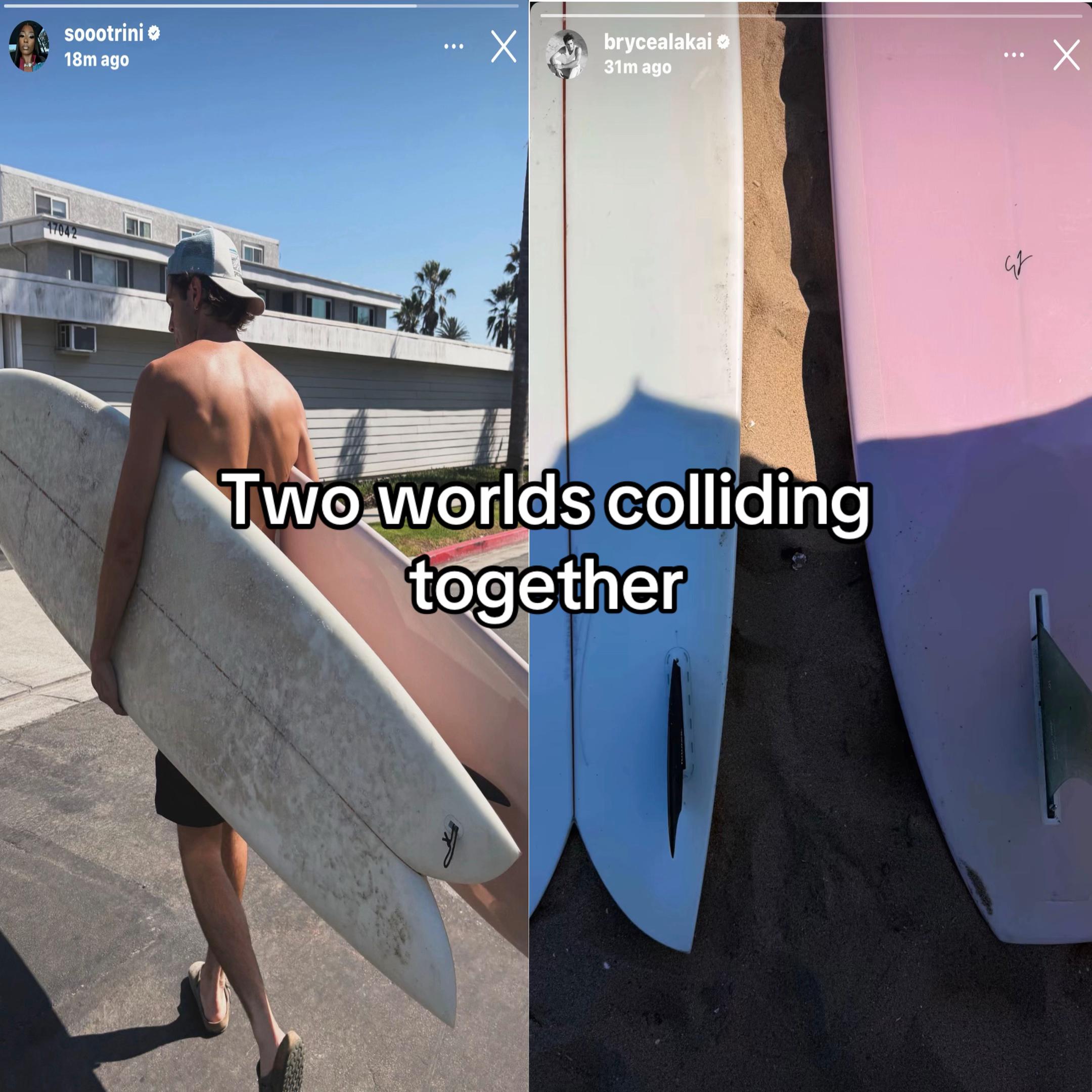 @vampire squid