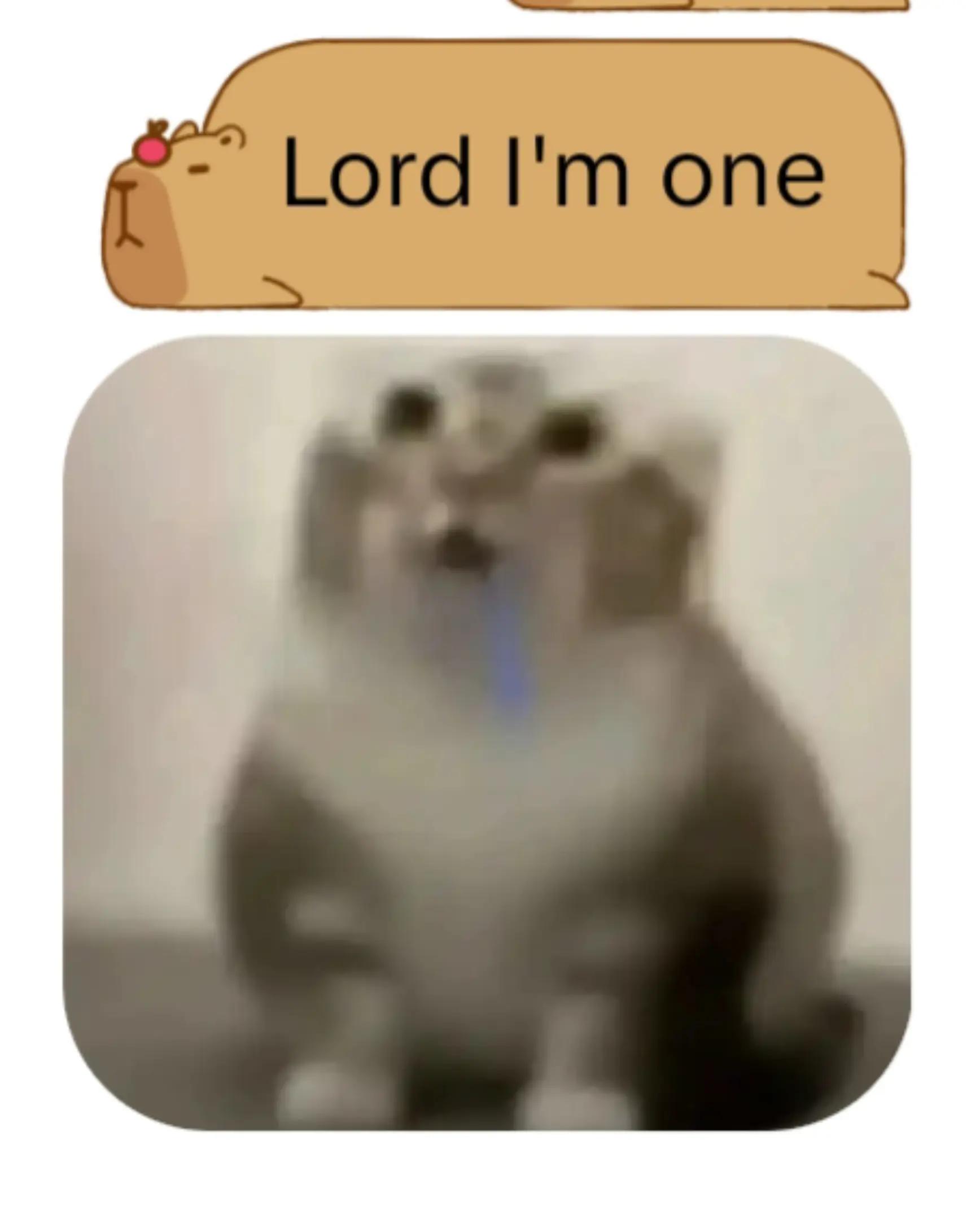 @Slider