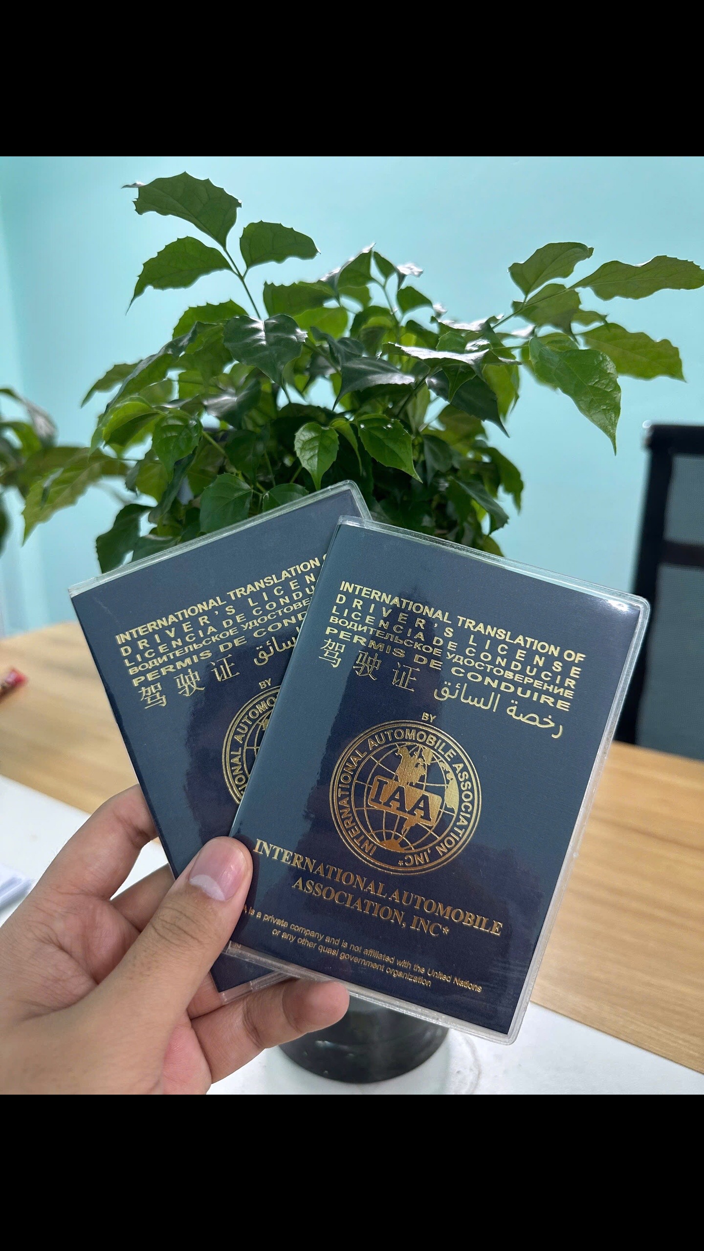 @DV Đổi Bằng Lái Xe Quốc Tế
