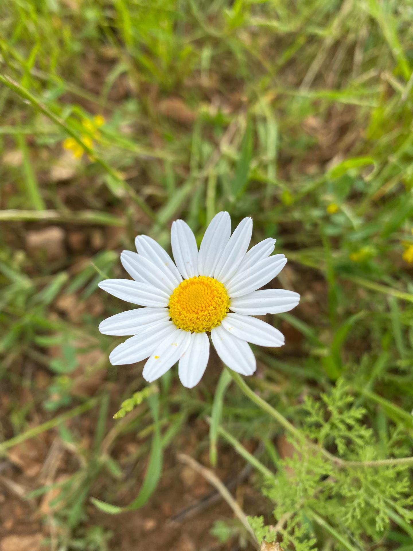 @☀️💕🌼