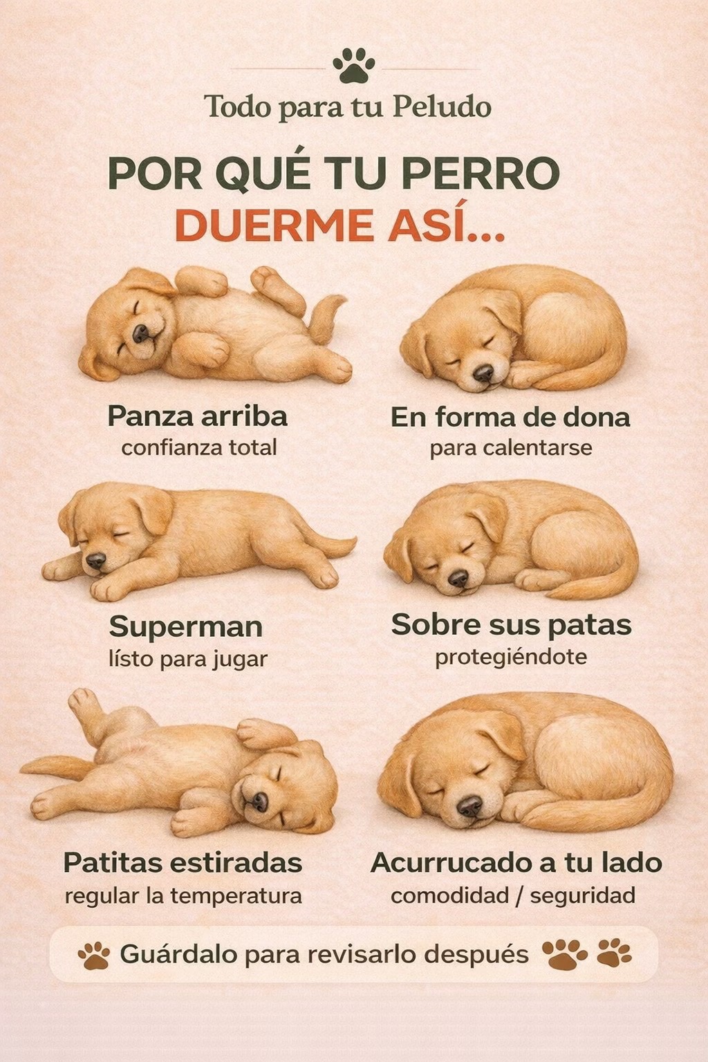 @Todo para tu peludo