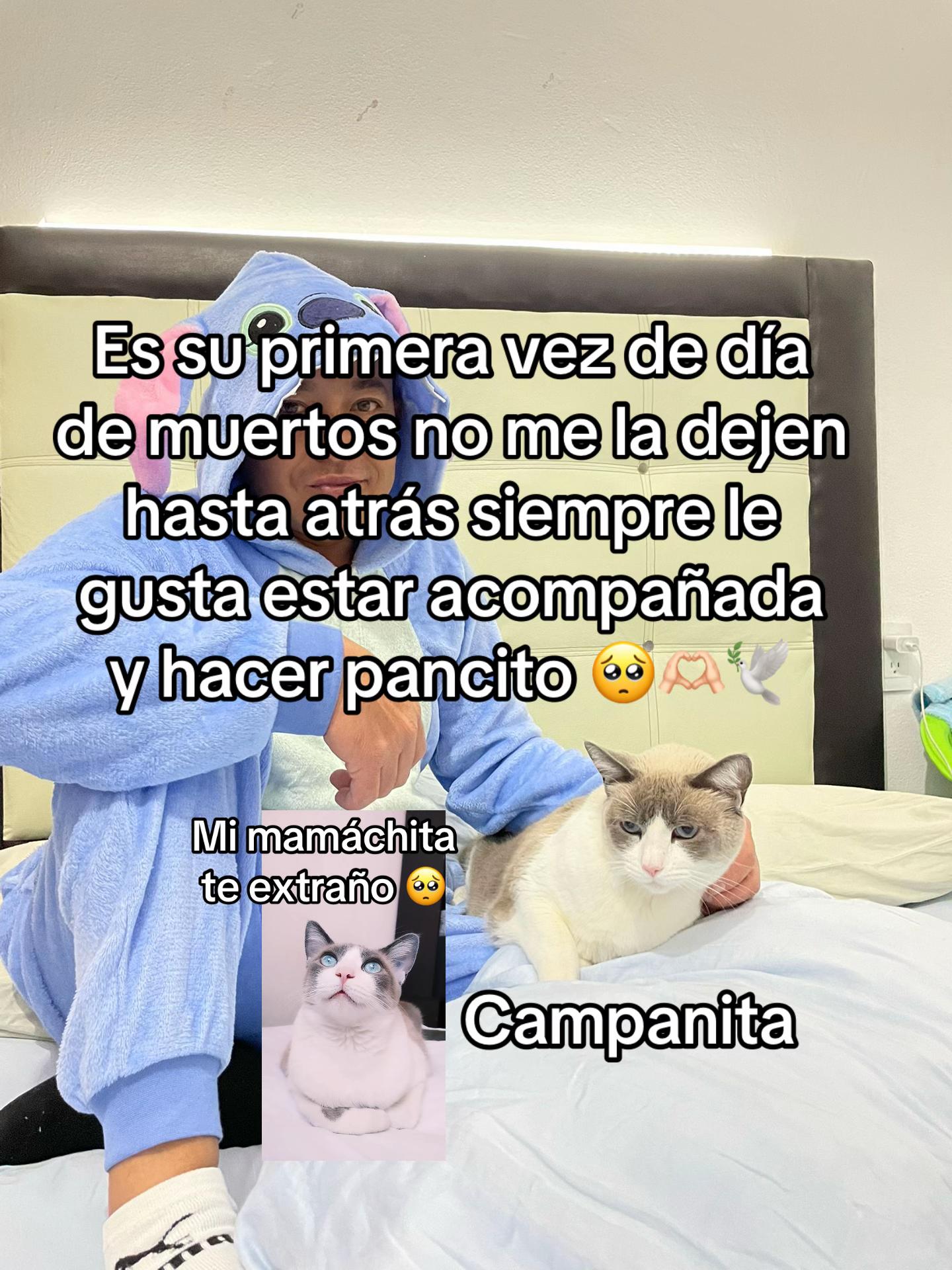 @Erick H Guerrero Gom