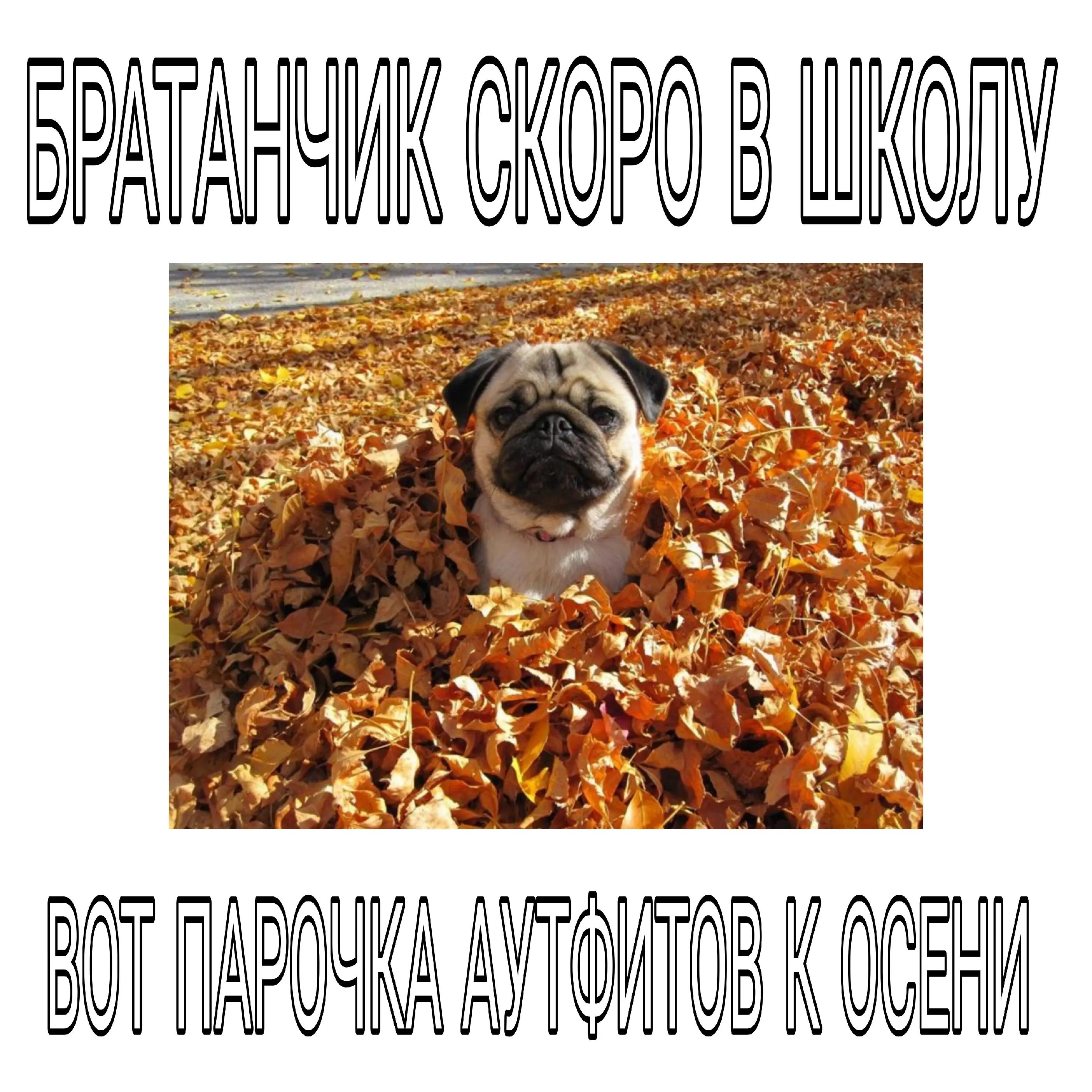@tg:blag0o0