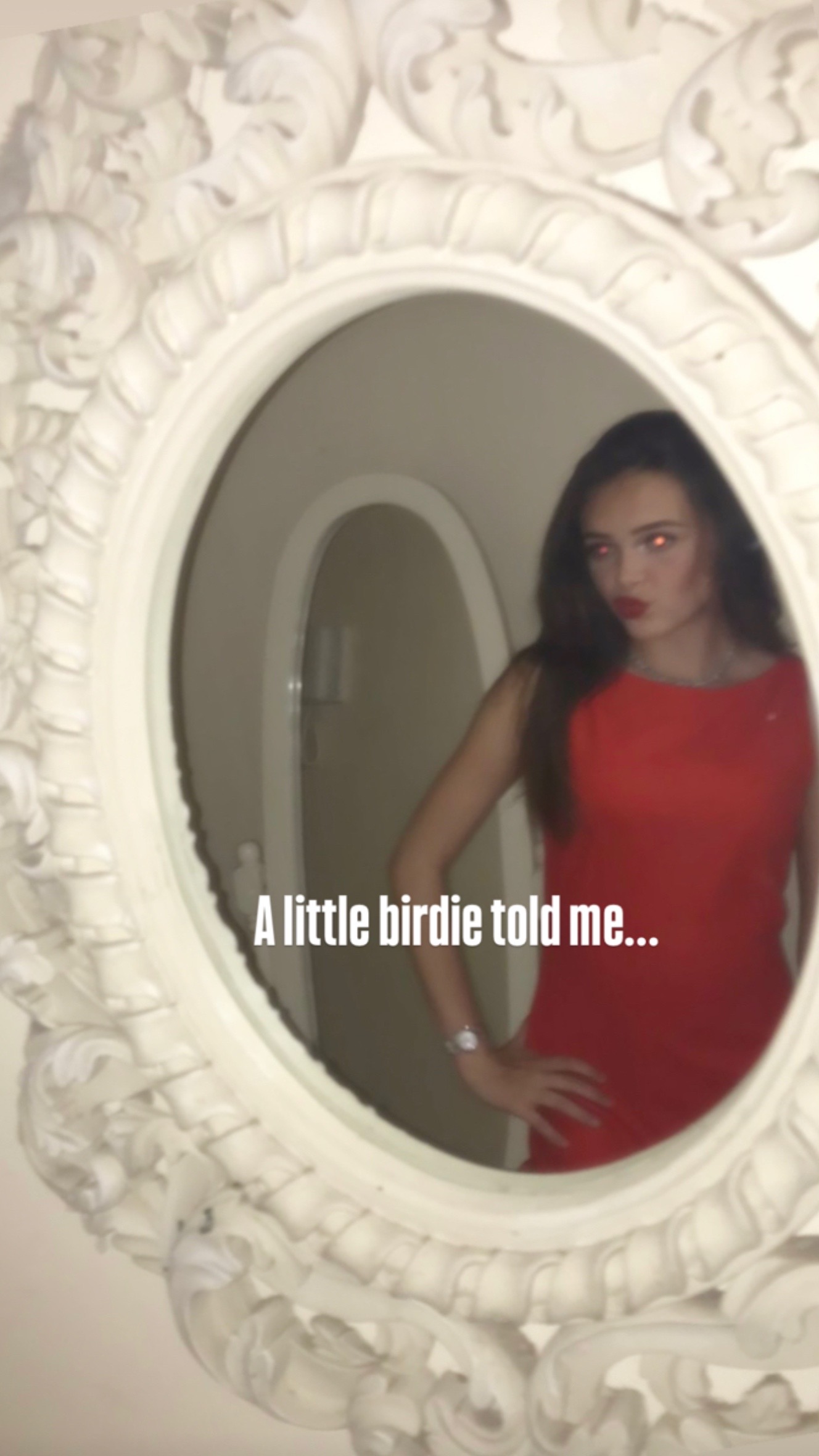 @🐆