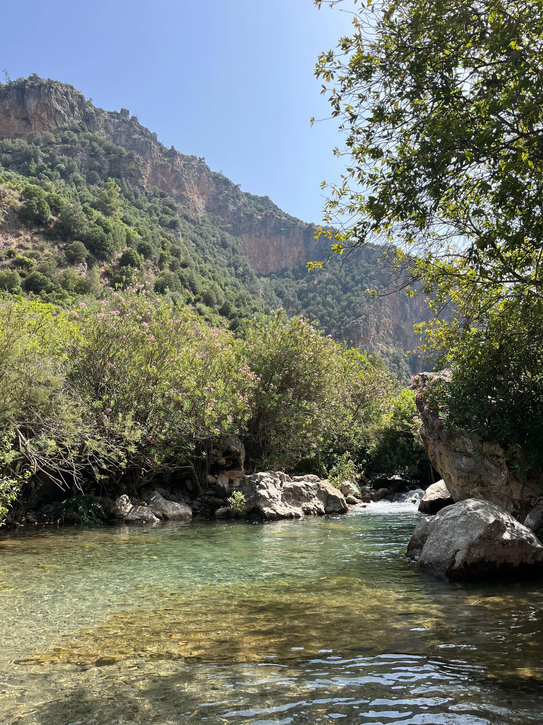 @Jana🤍🧚&zwj;♀️