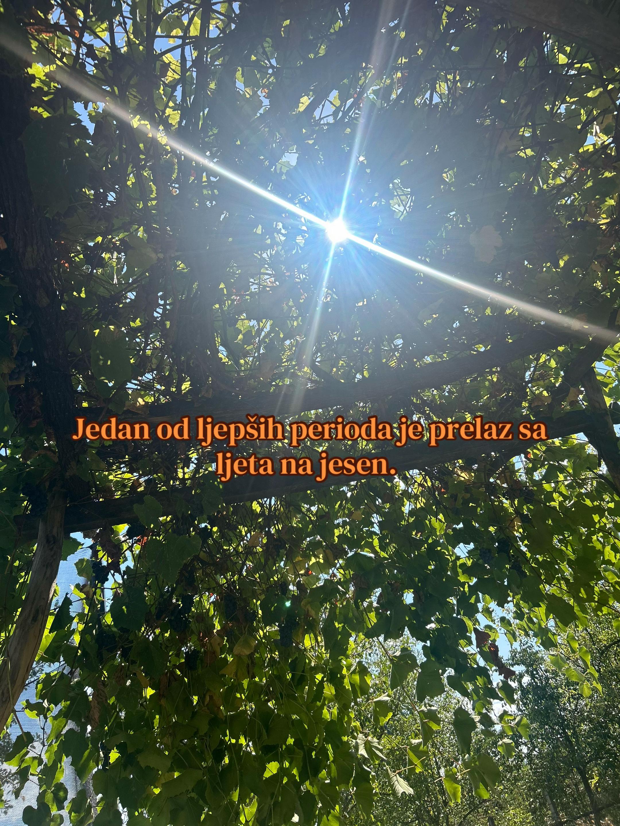 @яᴀᴍɪᴢᴀ