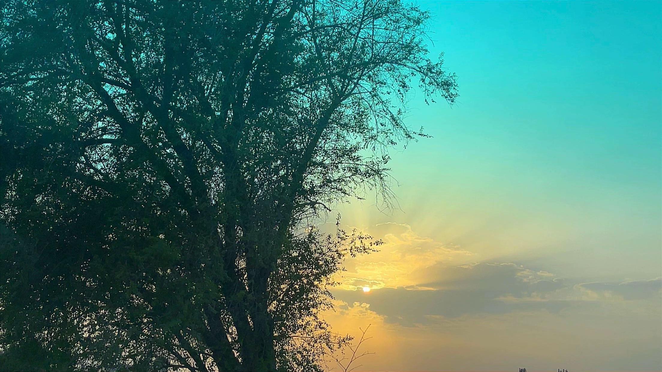 @ashkaltbiah