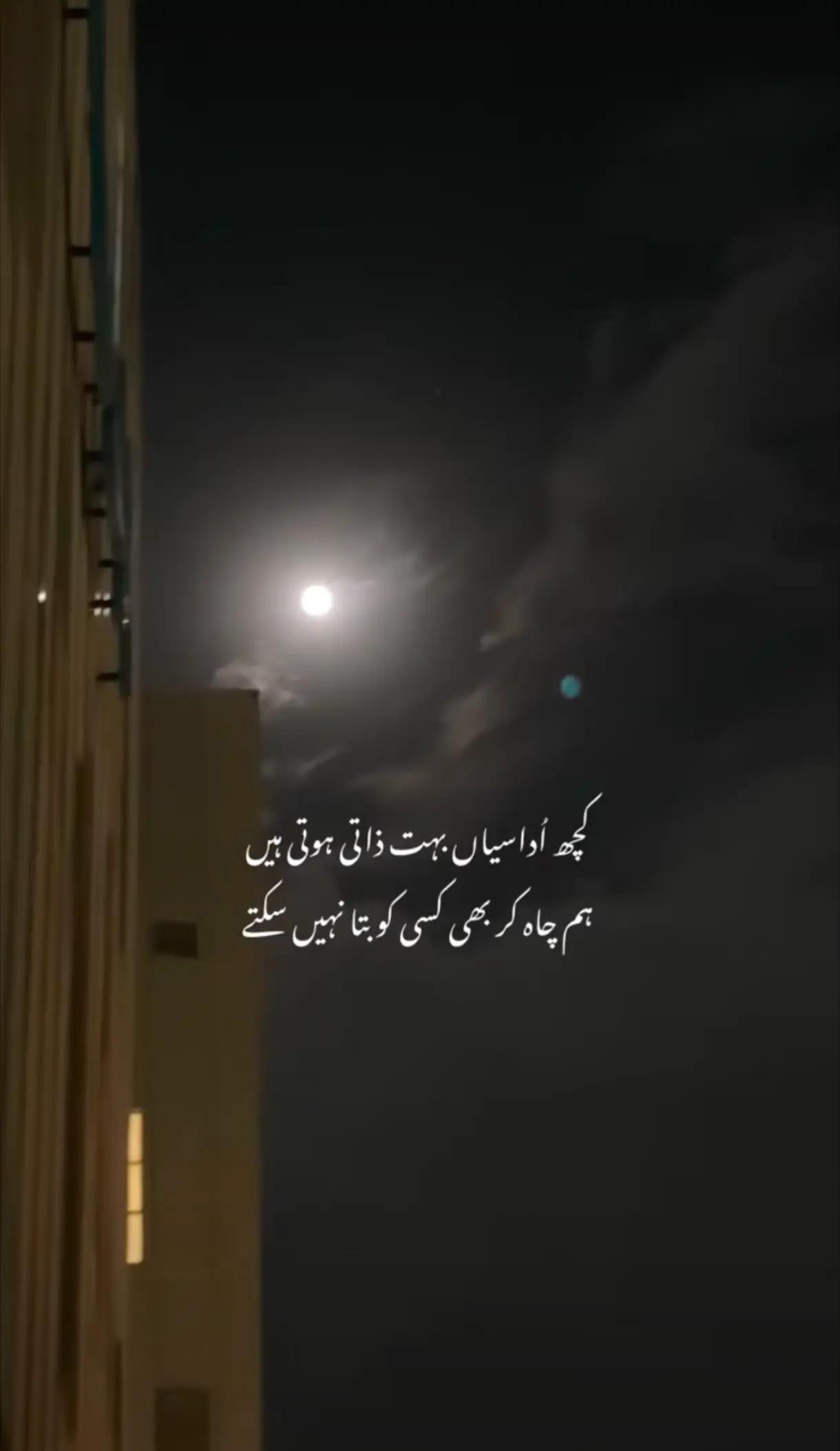 @Taimur Zaheer 🤍