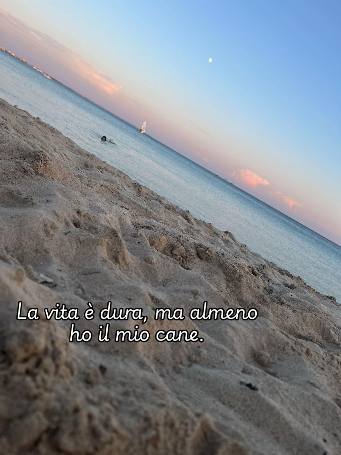 @♡🦋𝑙𝜄𝛼𝟷𝟿𝟿𝟿 🦋♡