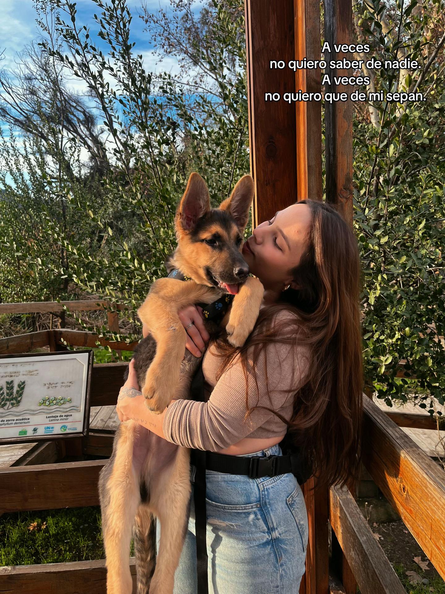 @cammivette
