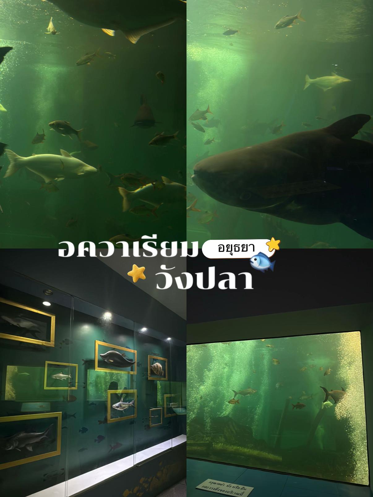 @ถุงปุ๋ย