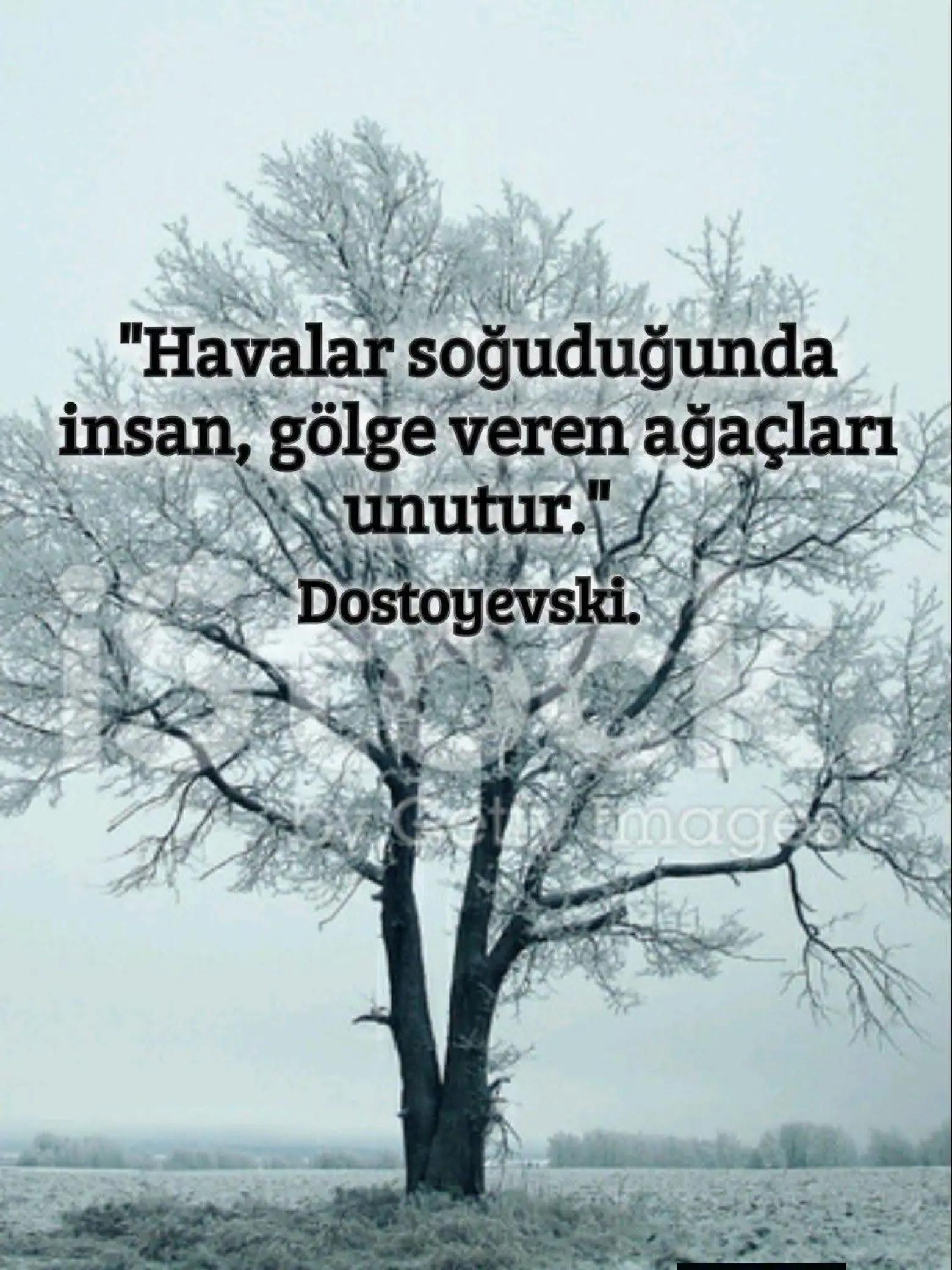 @Barbaros&Ccedil;iftliği