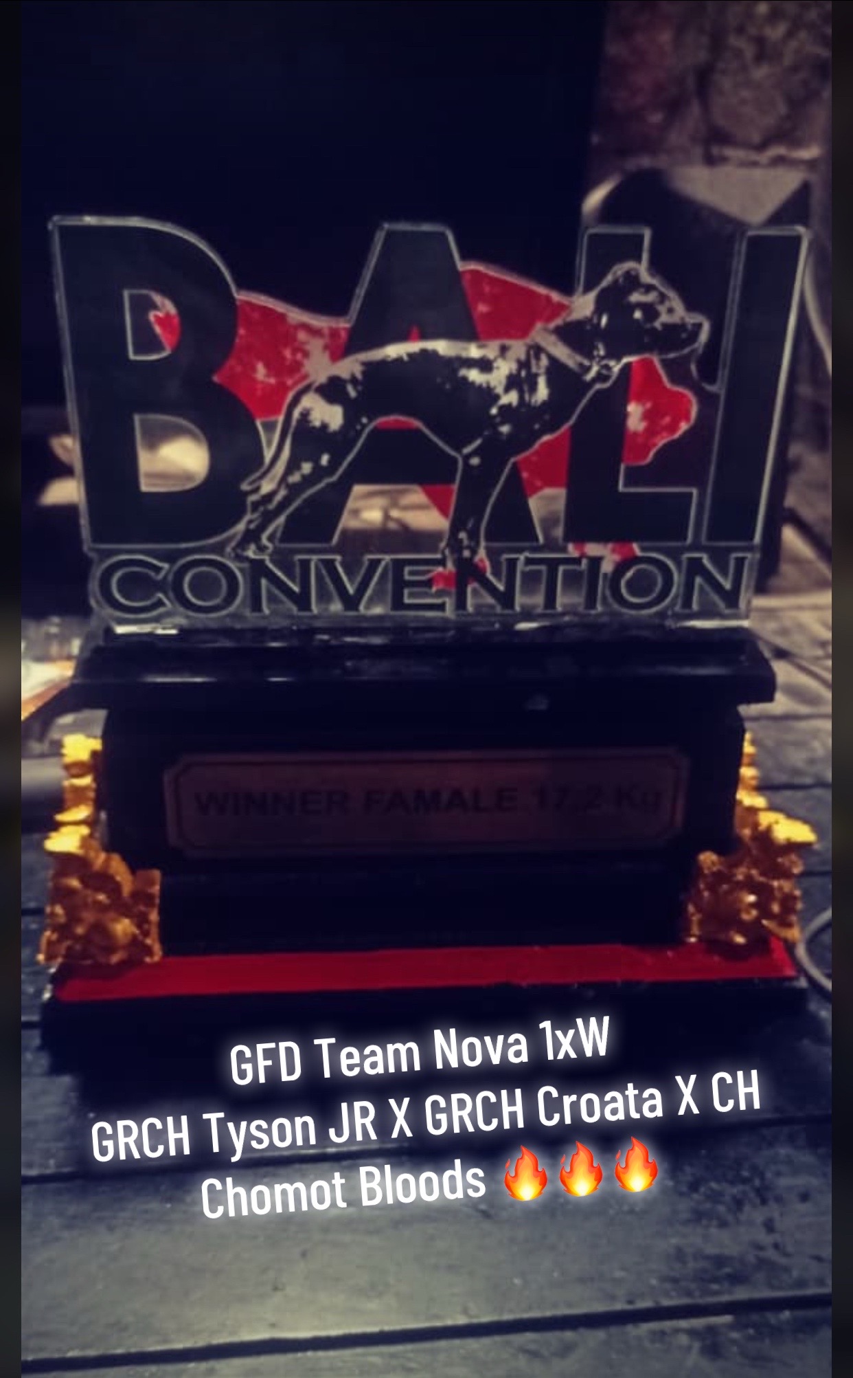 @GFD Team X Pitboys