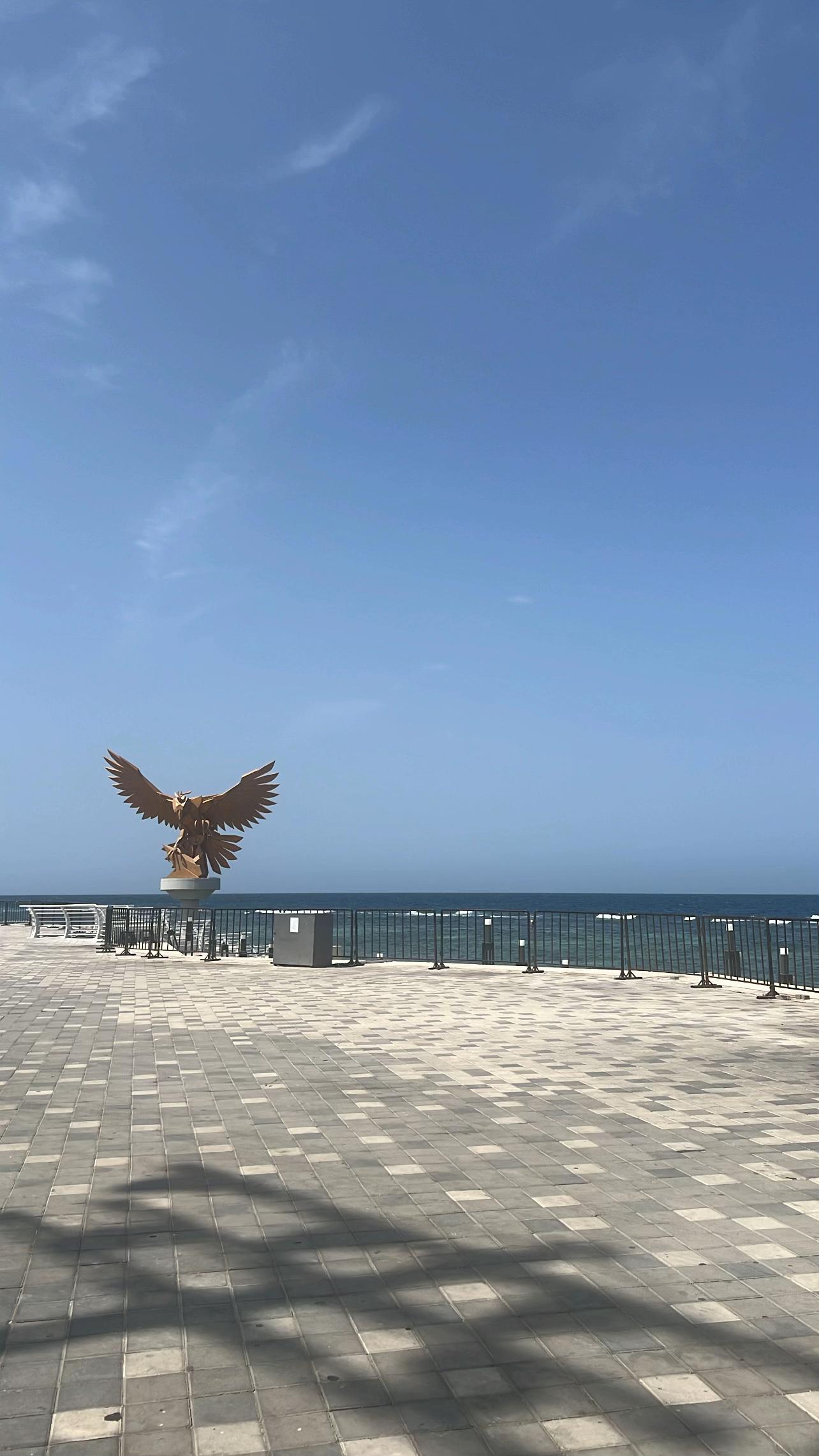 @روف🌻🤍"