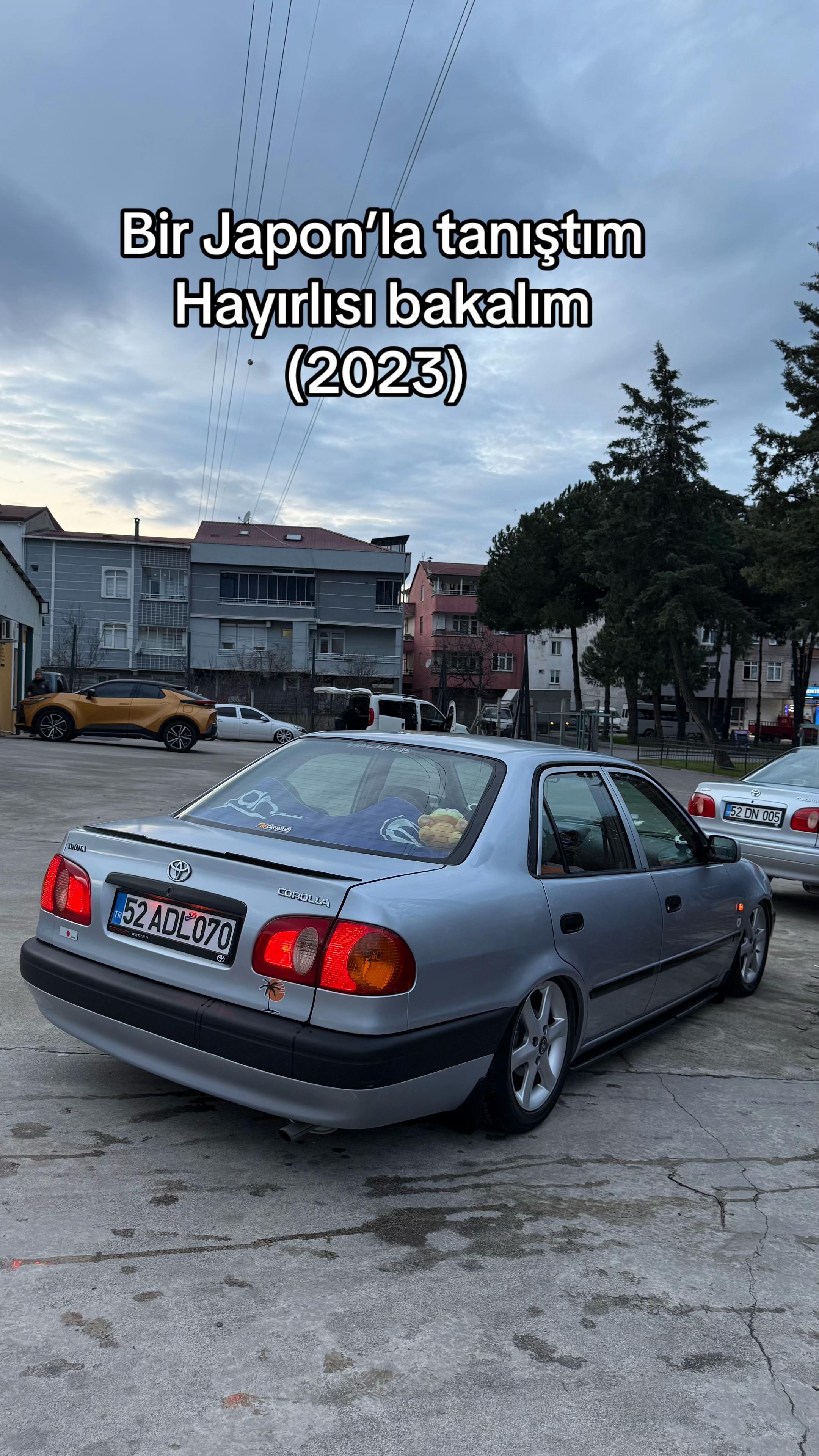 @Berkcan Beceren52