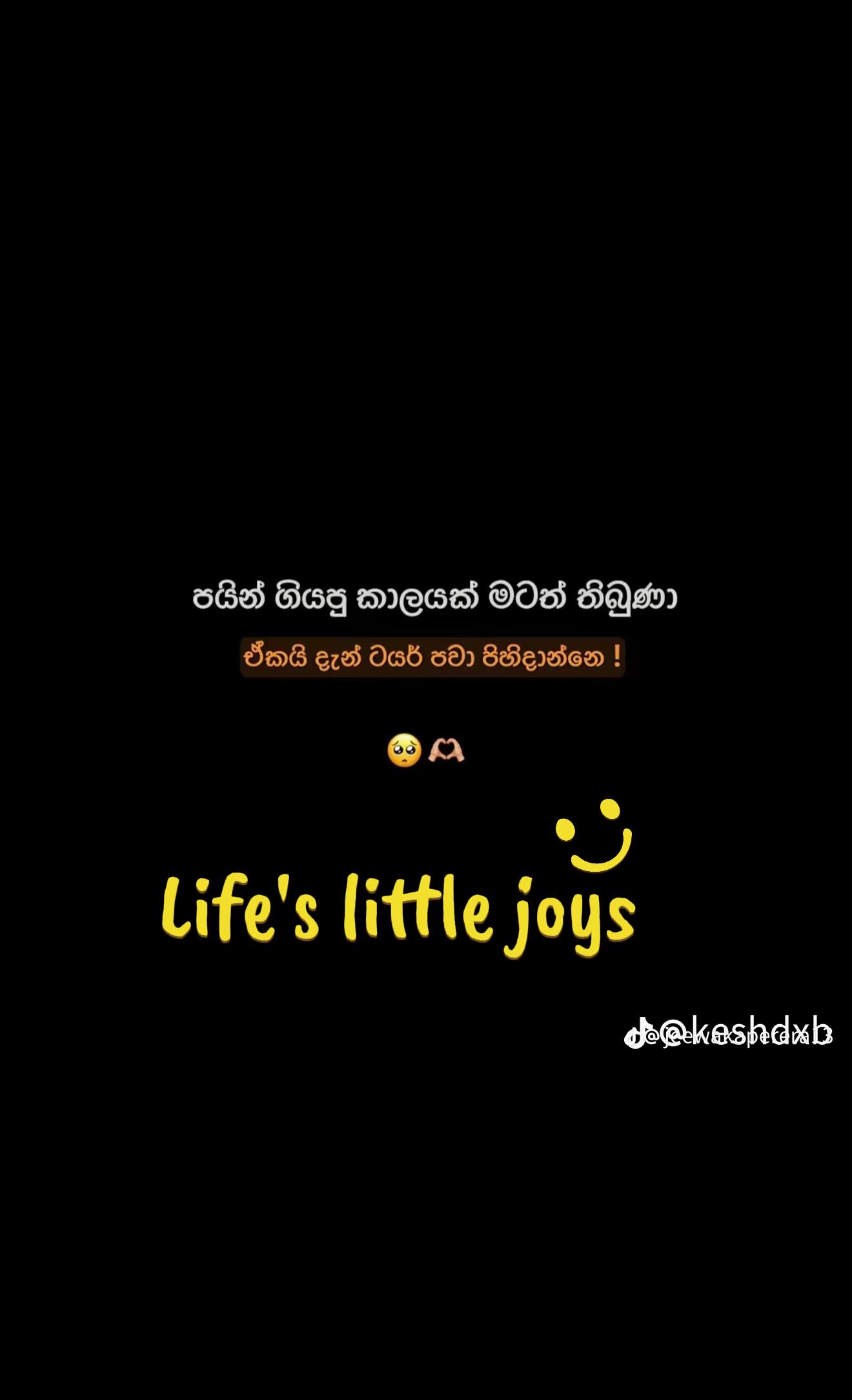 @🪬__D_i_N_U__🪬