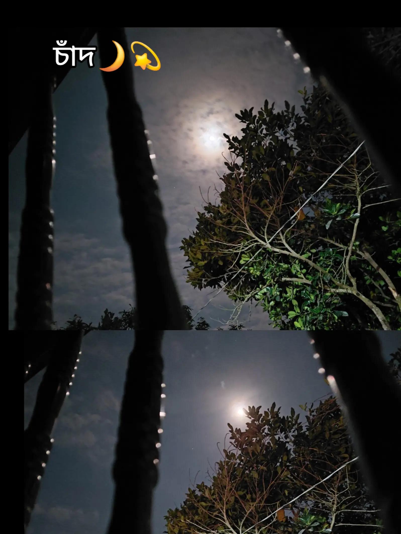 @🌿⭐𝐊𝐡𝐚𝐧_𝐒𝐚𝐡𝐞𝐛⭐🌿
