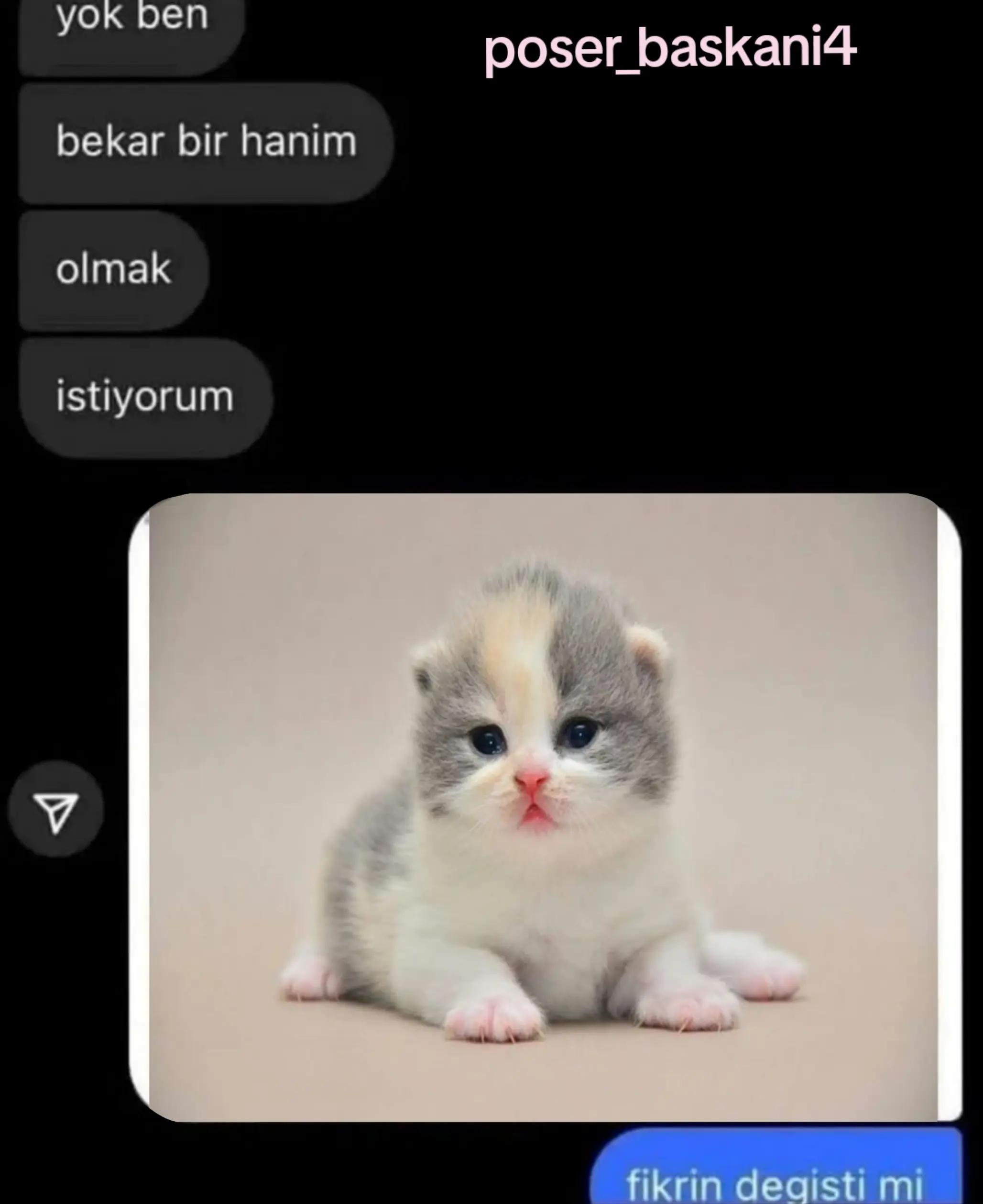 @poser_baskani4
