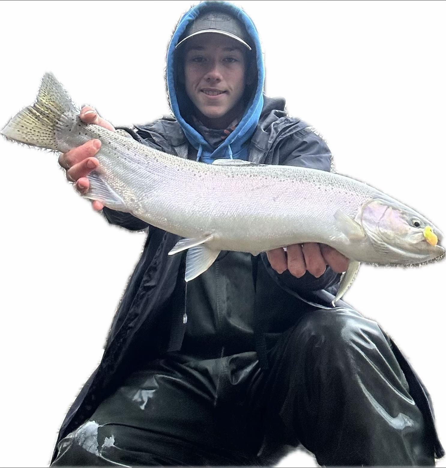@Loganthefish🐟