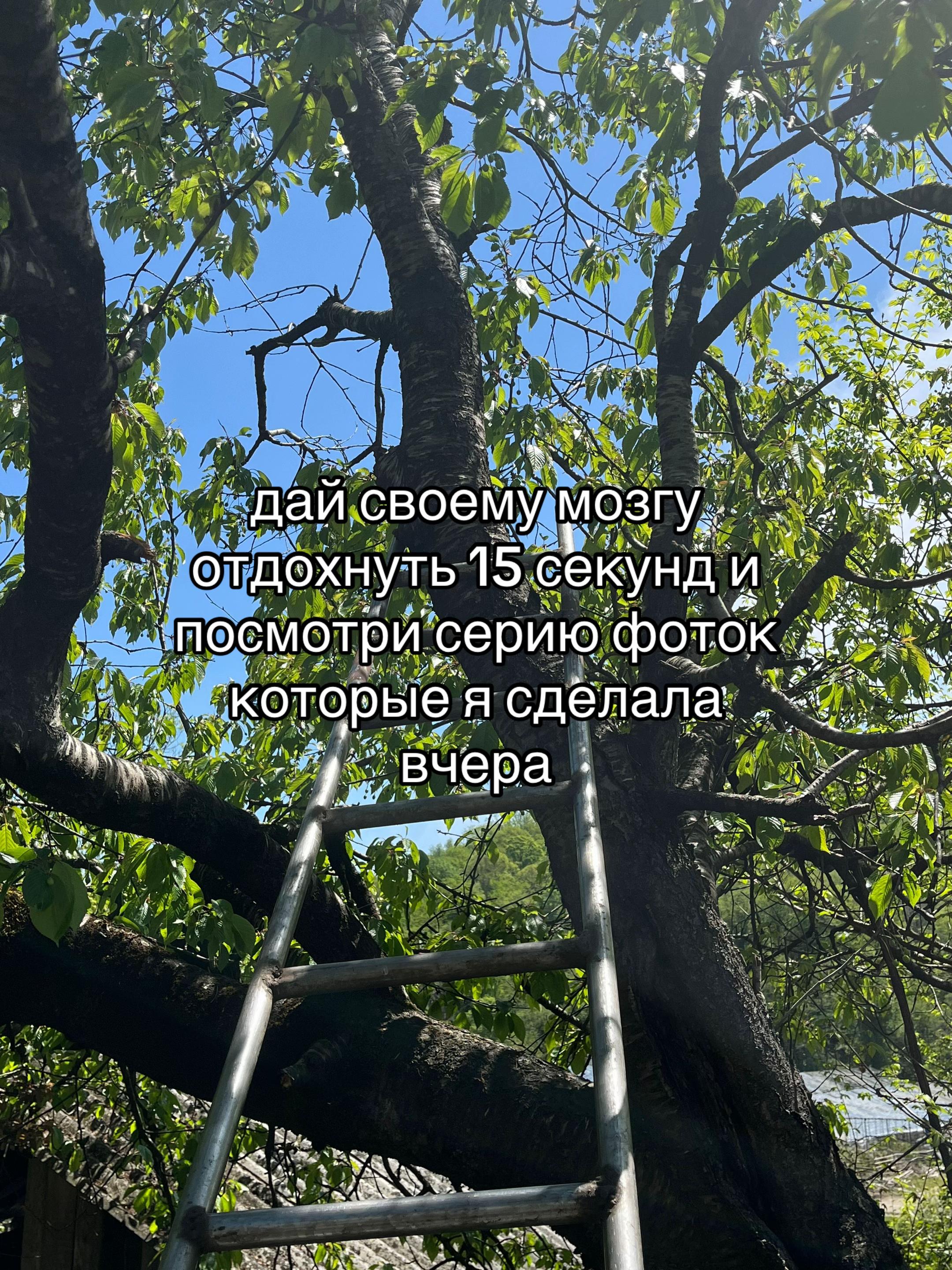@настя ши