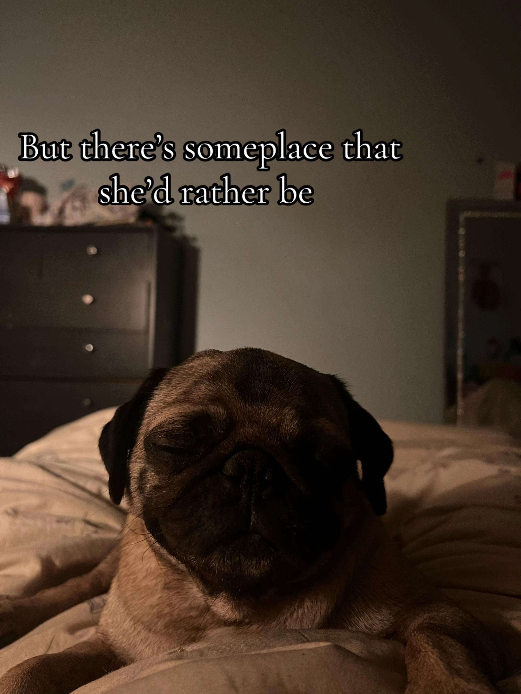 @โ
๐ธ๐๐ (DiLaurentis Ver #66)โ