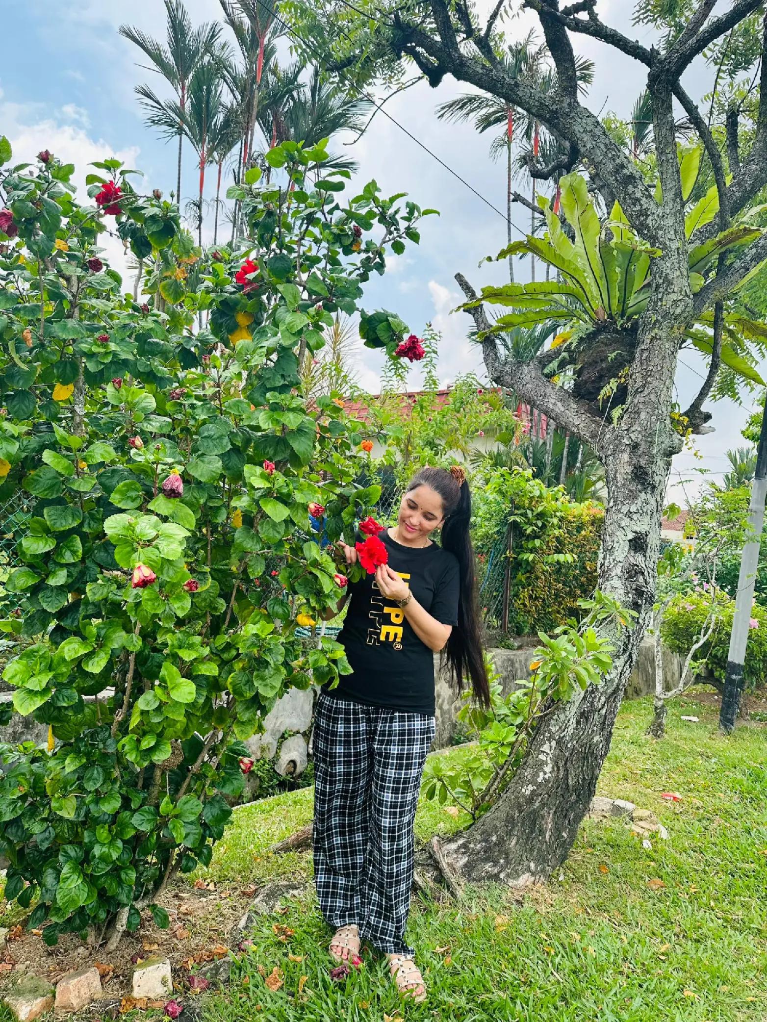 @Sita kc