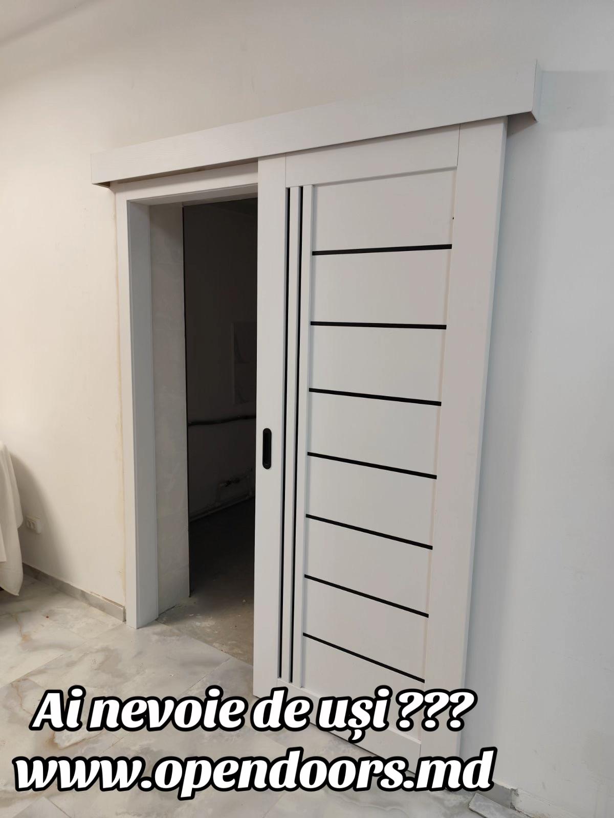 @usi.opendoors.md